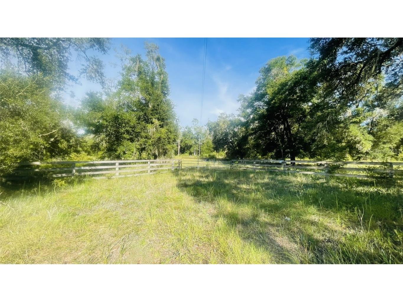 5037 SE Hwy 349 Old Town FL 32680 GC533574 image1