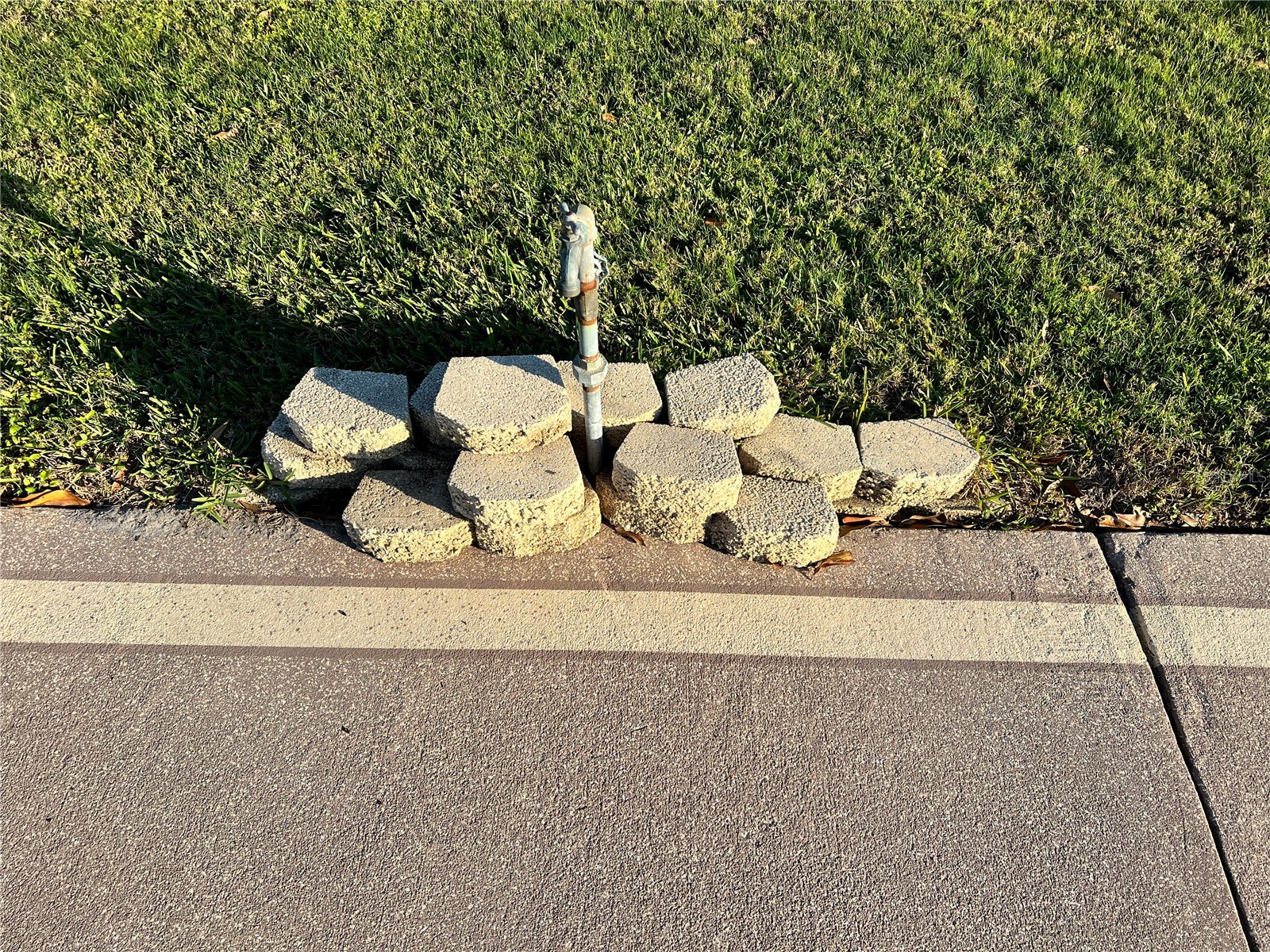 5037 Shore Line Drive Polk City FL 33868 P4933825 image19