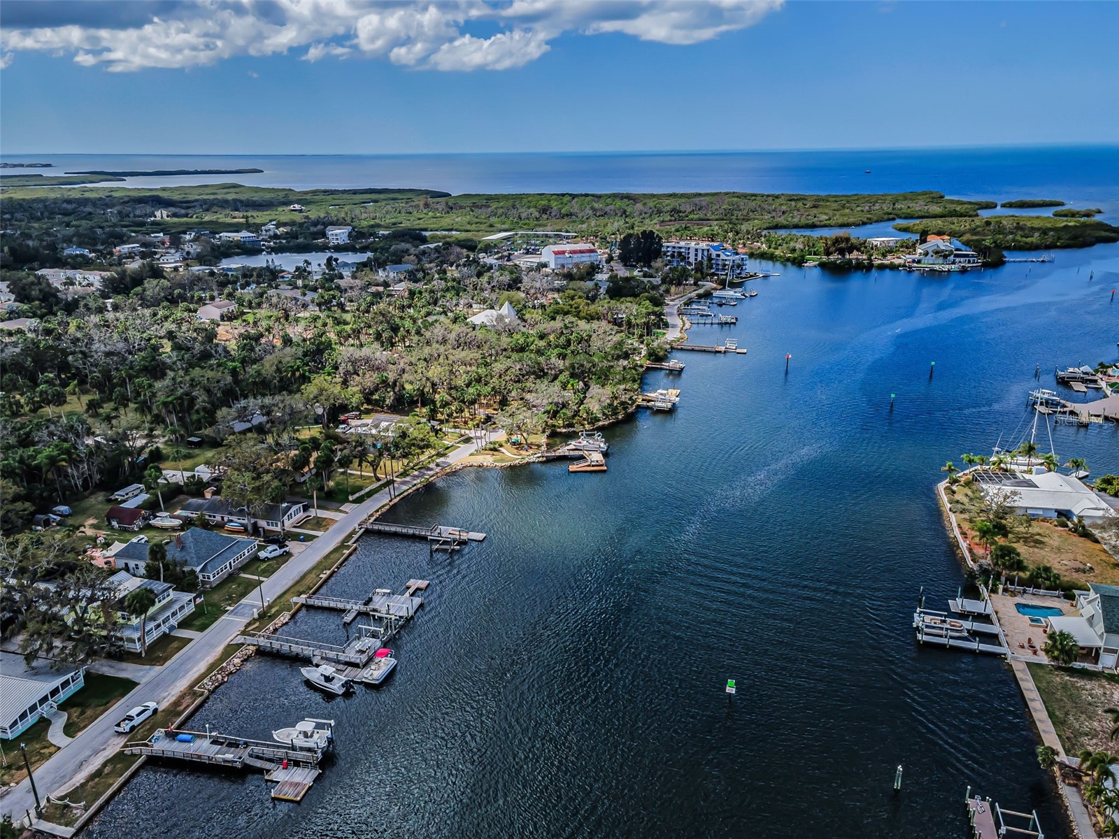 5038 Sunset Boulevard Port Richey FL 34668 - PITHLACHASCOTEE RIVER TO GULF TB8483667 image97