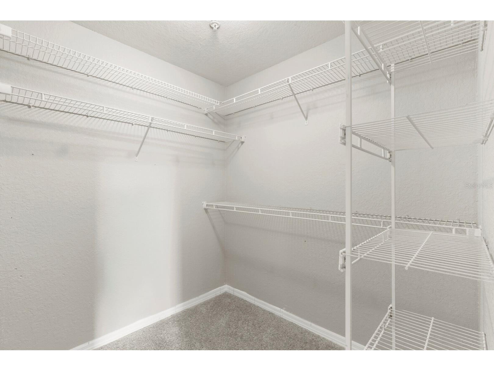 5039 Sunridge Palms Drive #203 Tampa FL 33617 TB8521855 image33