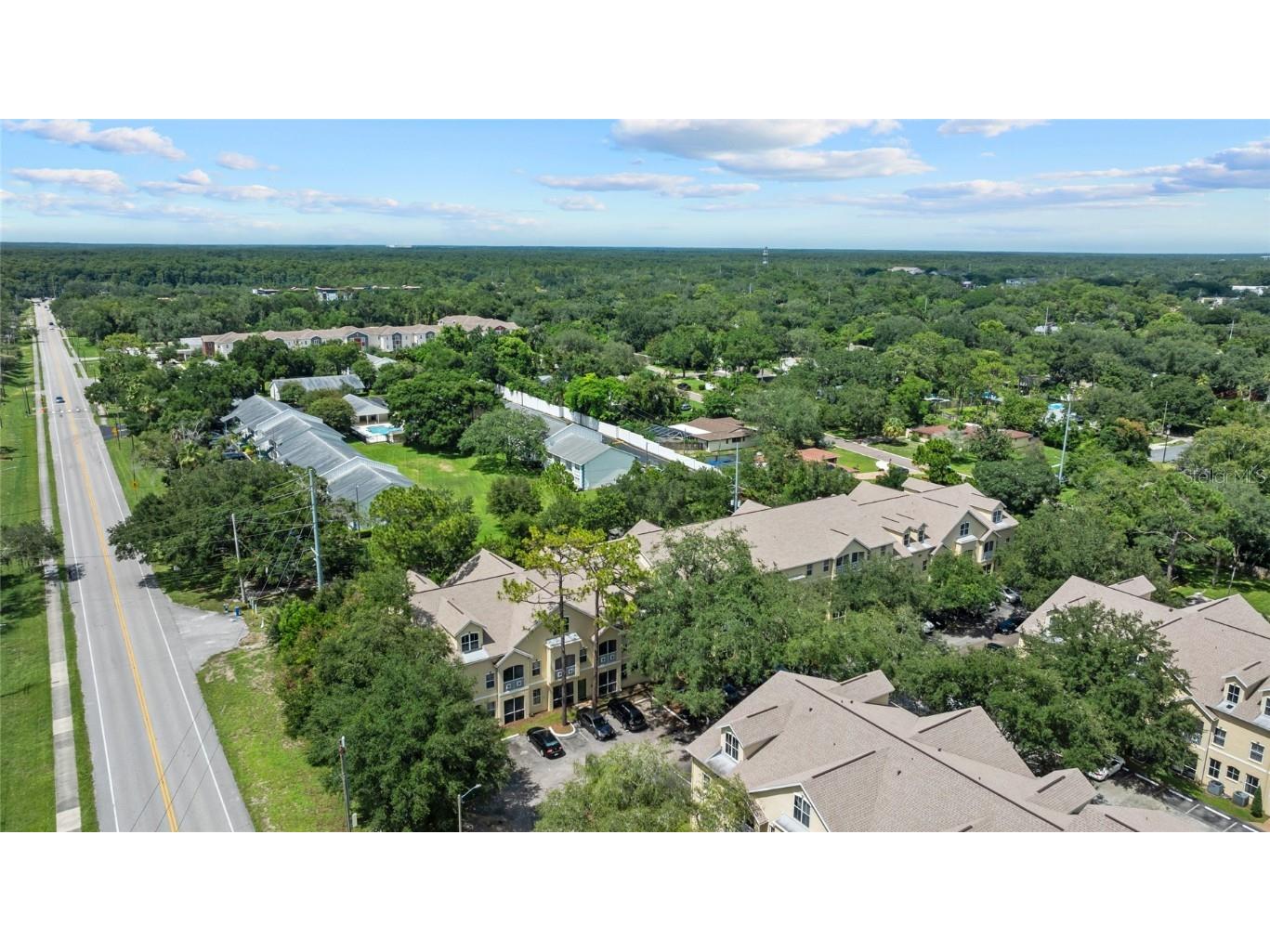 5039 Sunridge Palms Drive #204 Tampa FL 33617 TB8419327 image40