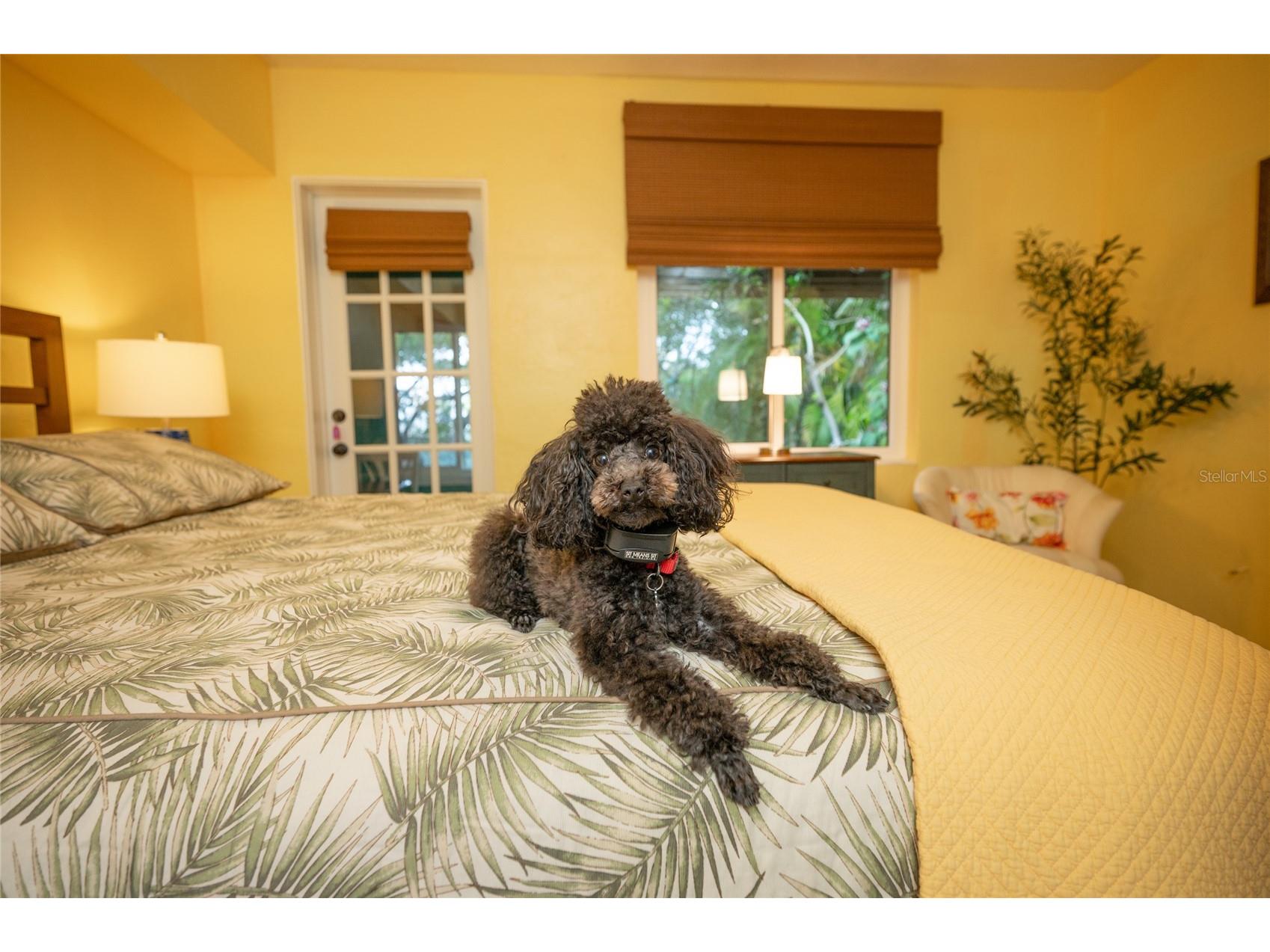 504 58th Street Holmes Beach FL 34217 A4685187 image24