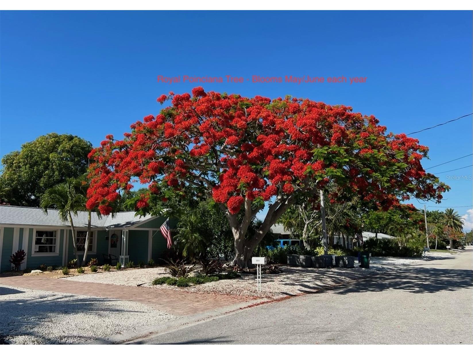 504 69th Street Holmes Beach FL 34217 A4688938 image53