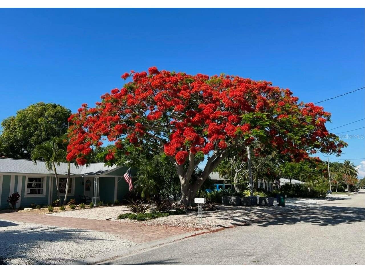 504 69th Street Holmes Beach FL 34217 O6371336 image60