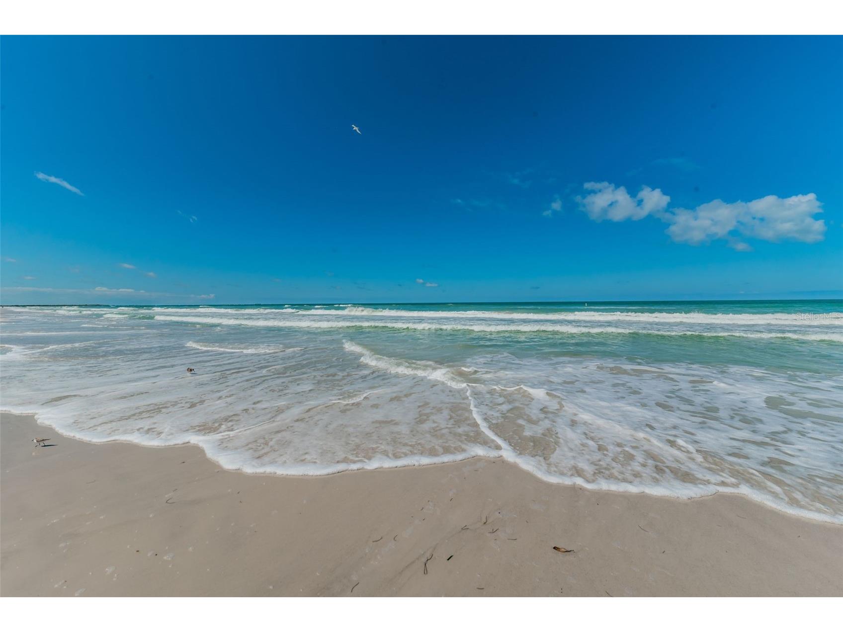 504 70th Avenue Saint Pete Beach FL 33706 - UPHAM BEACH PARK TB8520166 image71