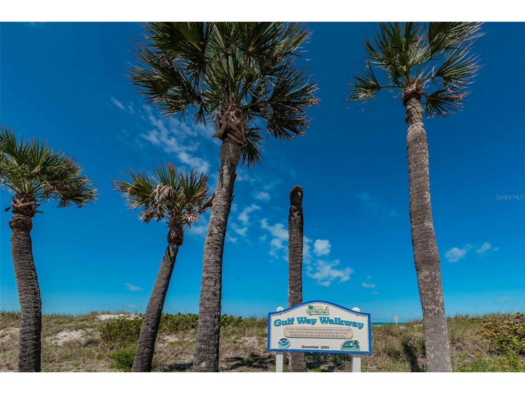 504 70th Avenue Saint Pete Beach FL 33706 - UPHAM BEACH PARK TB8520166 image74