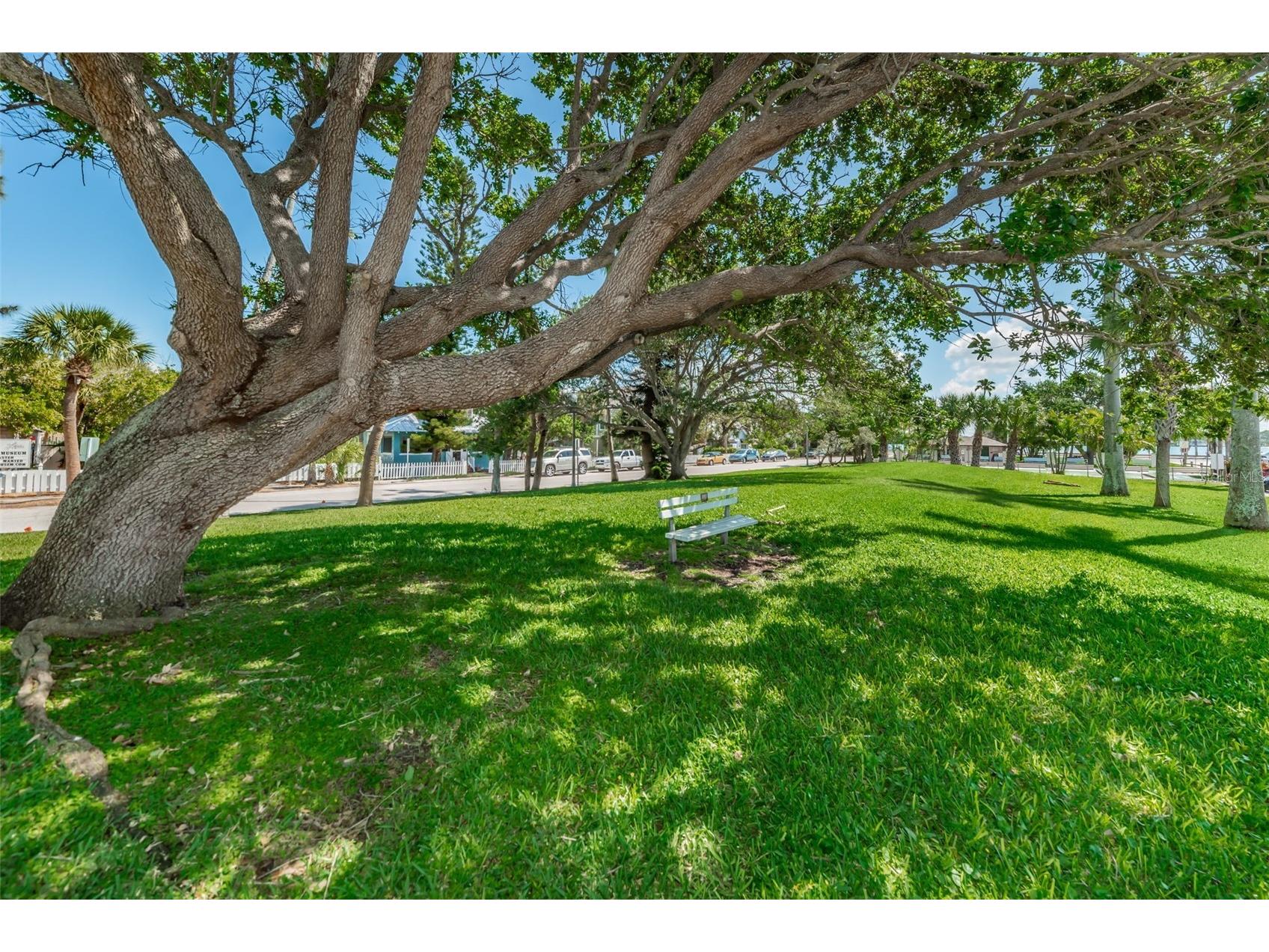 504 70th Avenue Saint Pete Beach FL 33706 - UPHAM BEACH PARK TB8520166 image77