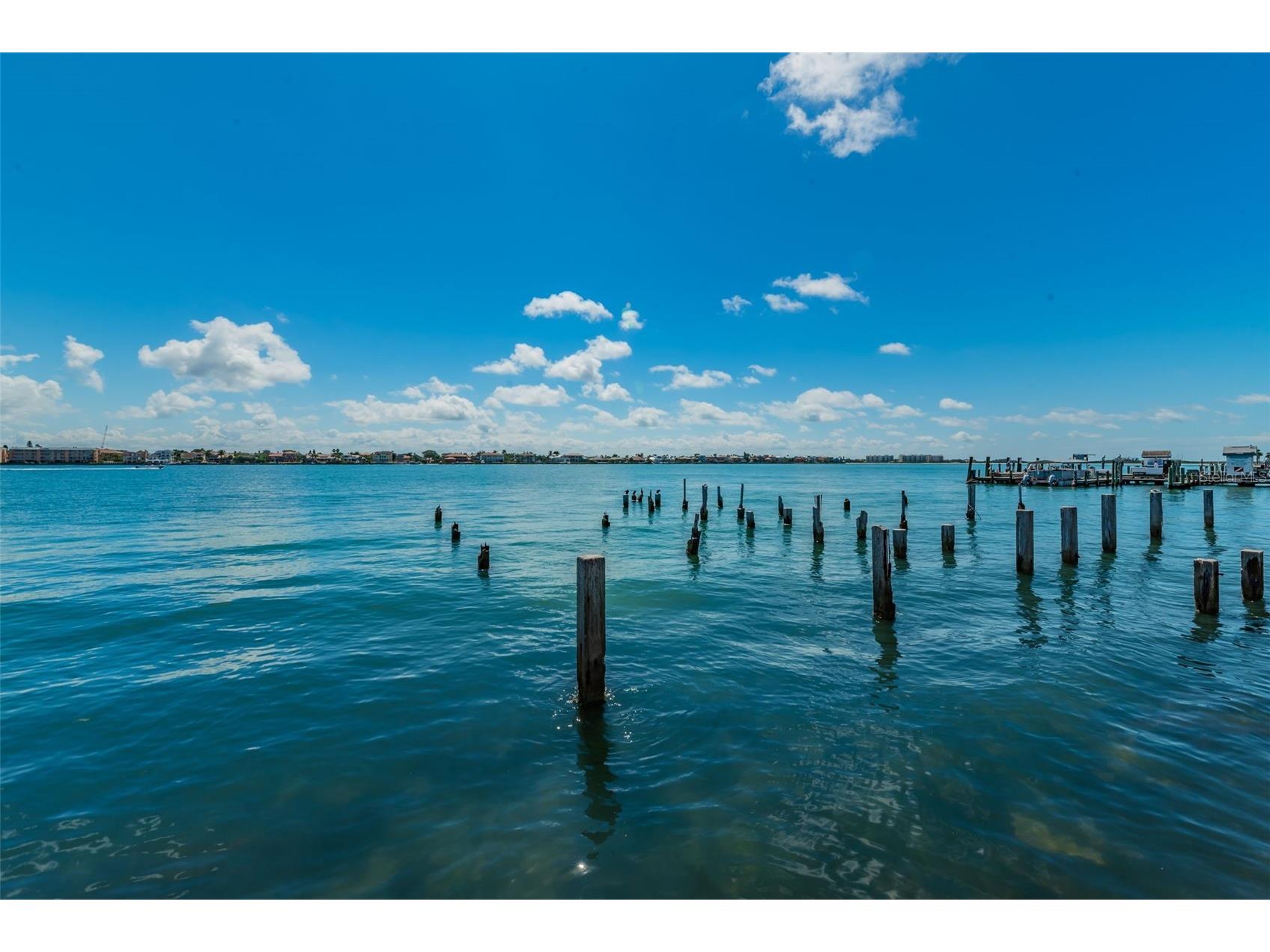 504 70th Avenue Saint Pete Beach FL 33706 - UPHAM BEACH PARK TB8520166 image84