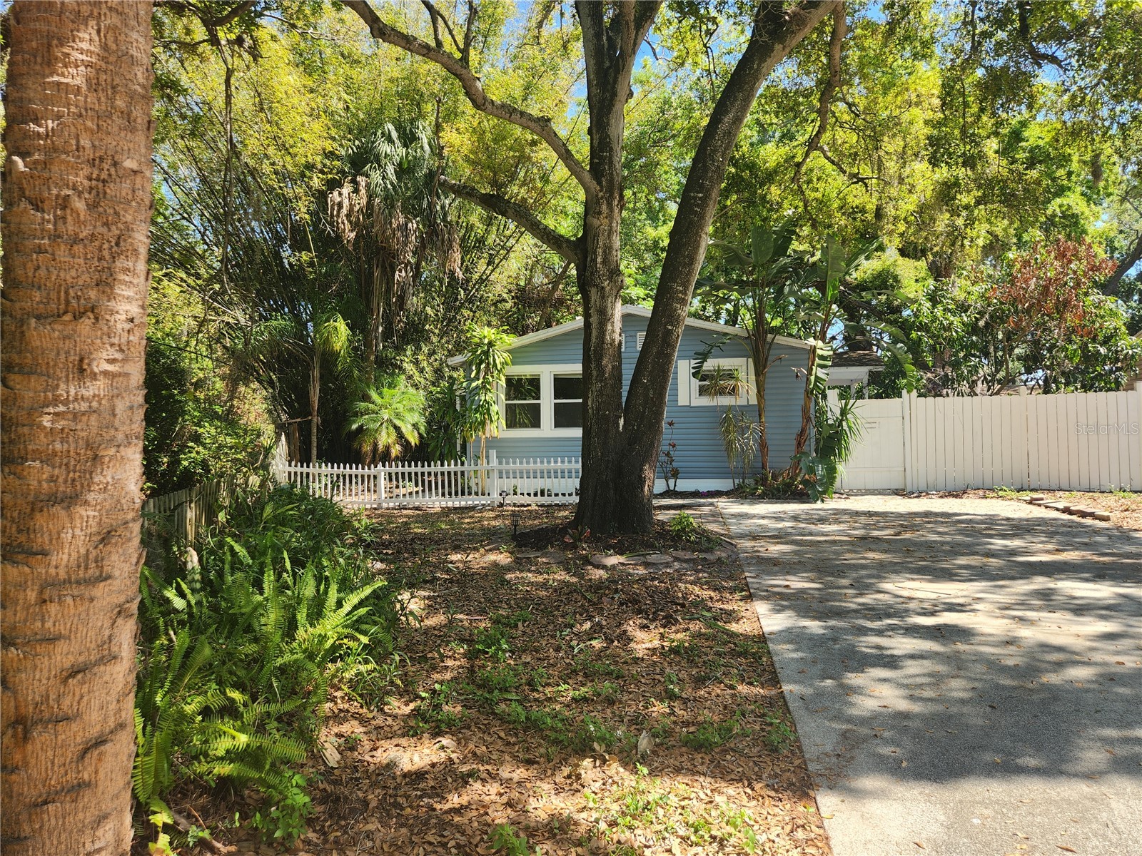504 Belmont Street Safety Harbor FL 34695 TB8485164 image1