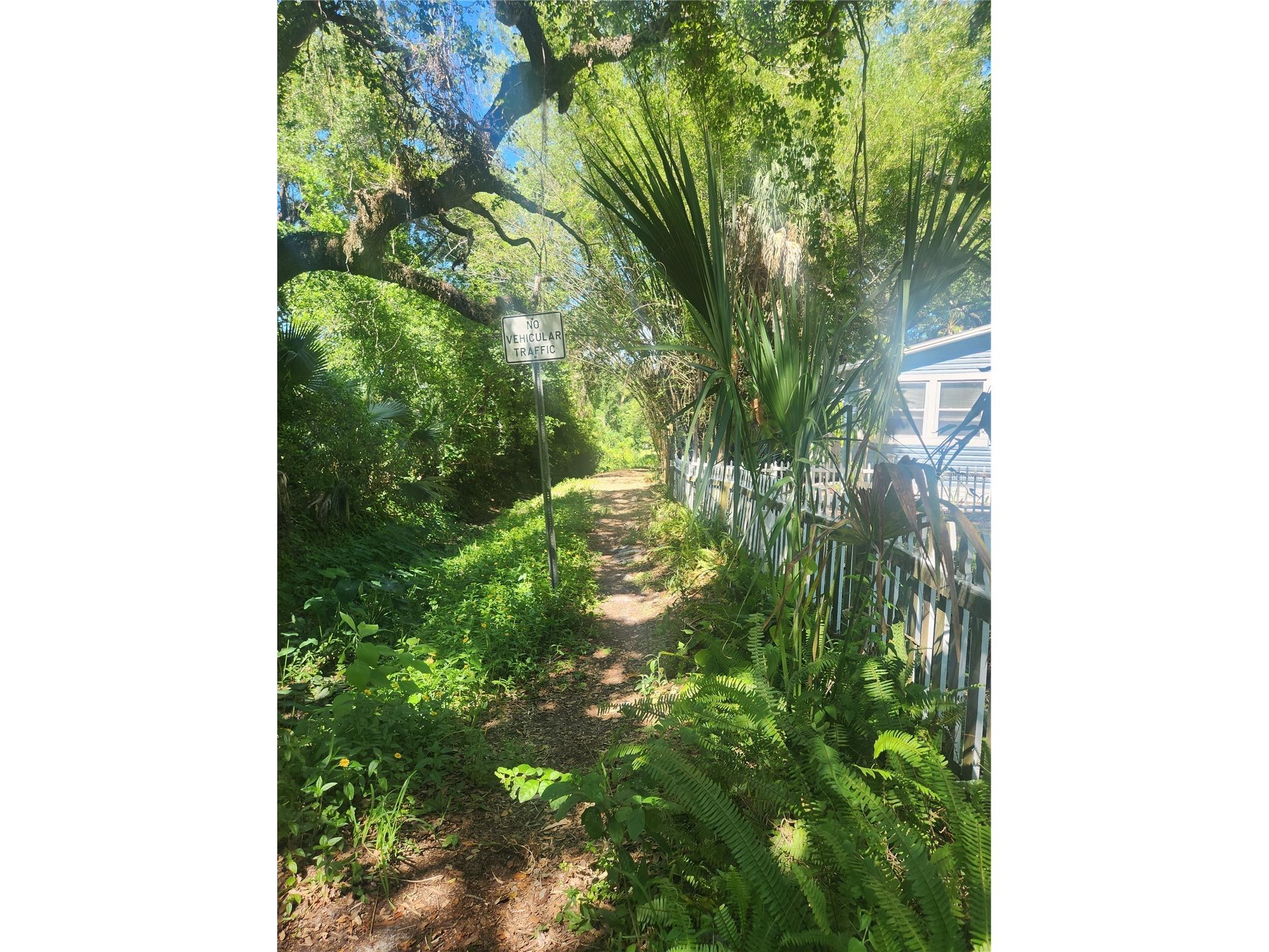 504 Belmont Street Safety Harbor FL 34695 TB8485164 image21