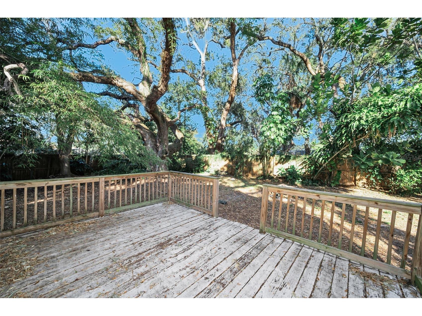 504 Belmont Street Safety Harbor FL 34695 TB8485164 image23