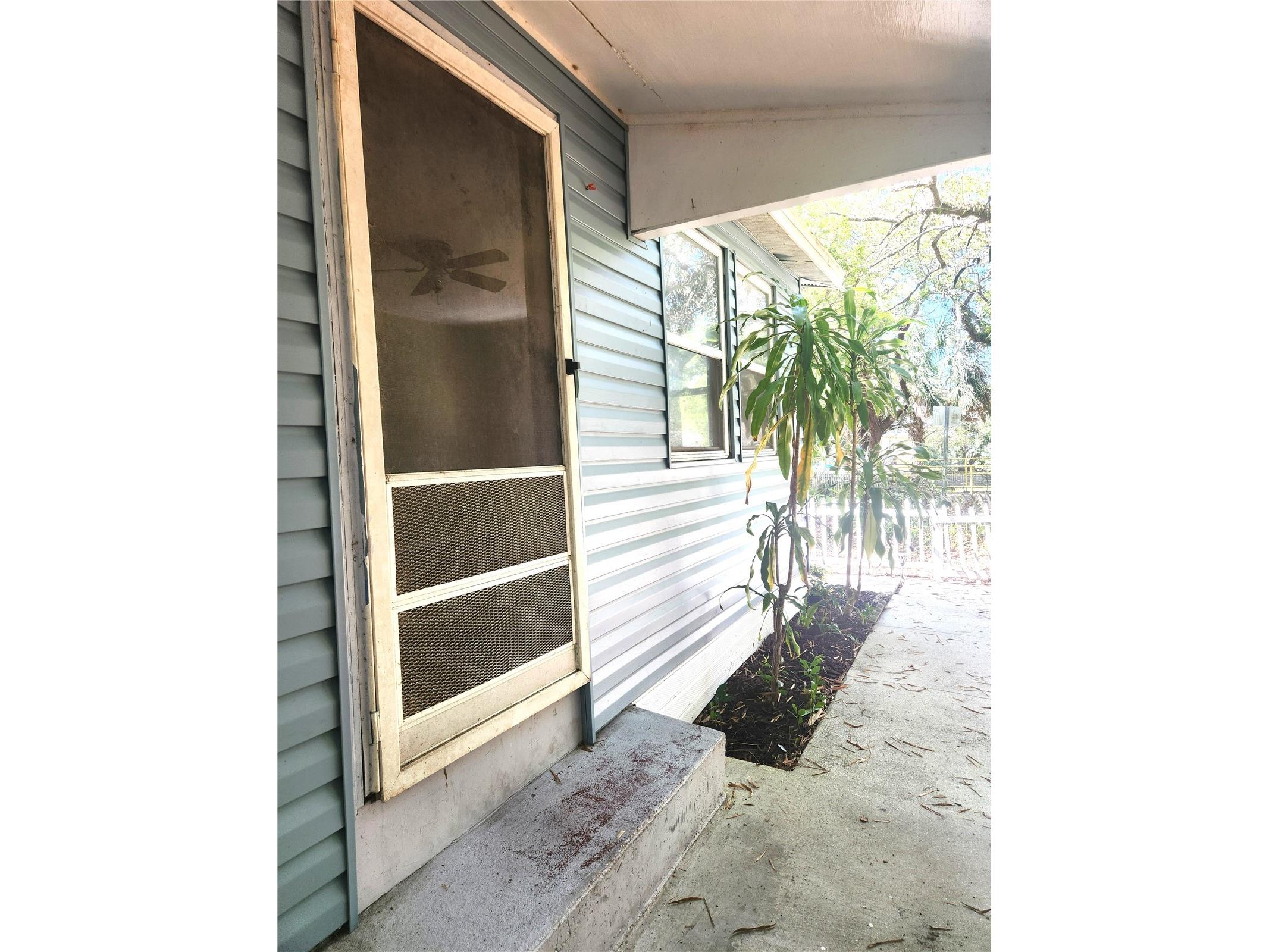 504 Belmont Street Safety Harbor FL 34695 TB8485164 image3