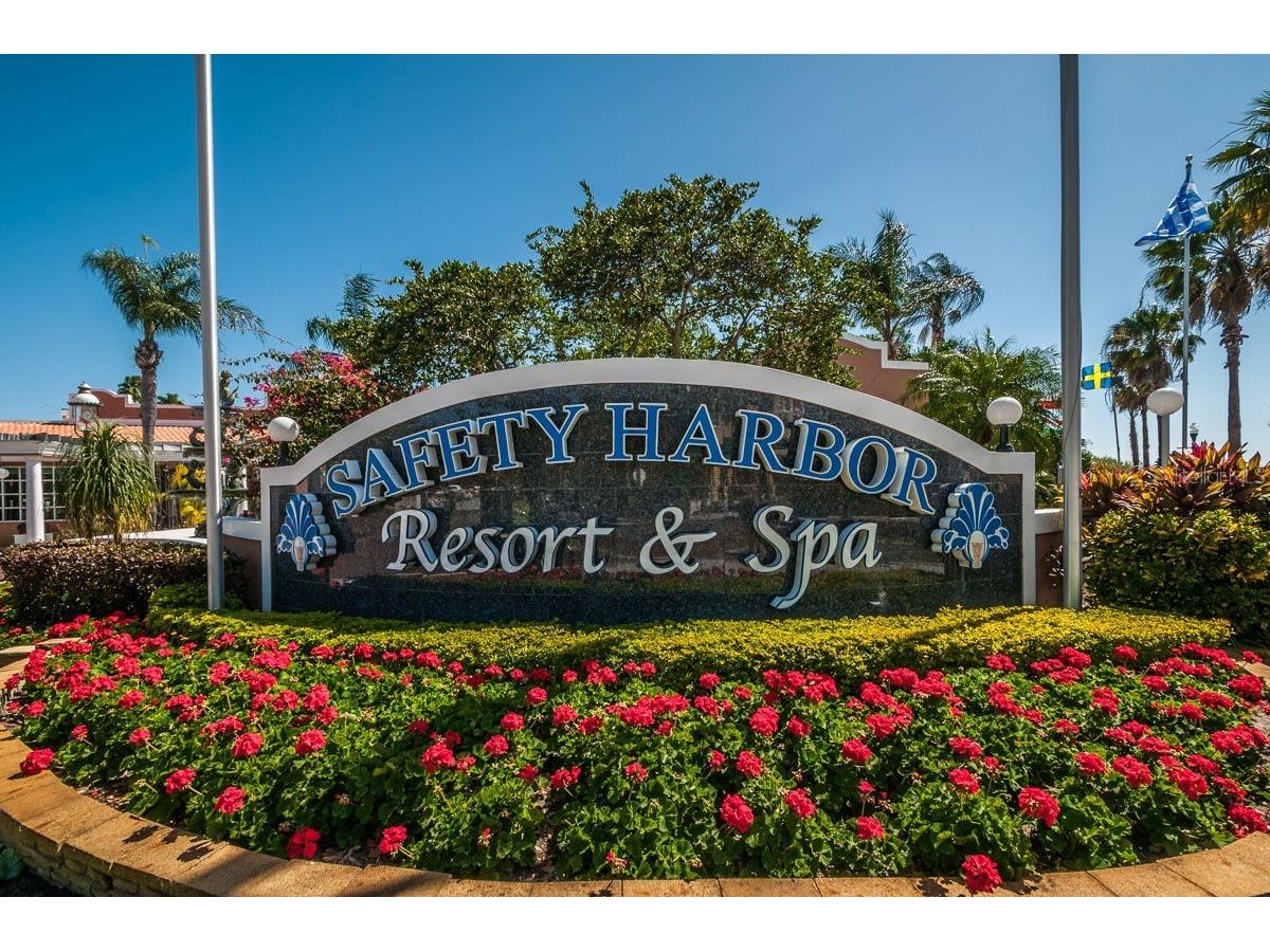 504 Belmont Street Safety Harbor FL 34695 TB8485164 image38
