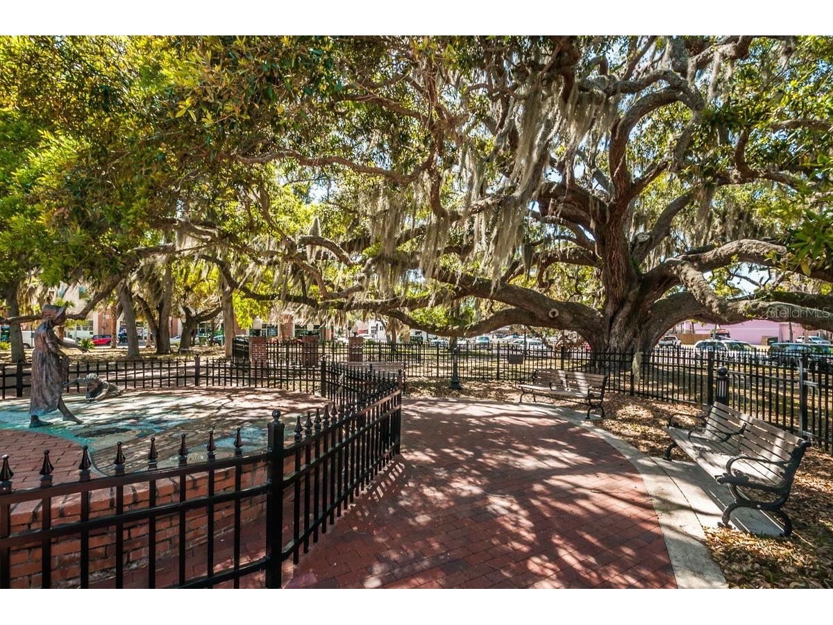504 Belmont Street Safety Harbor FL 34695 TB8485164 image40