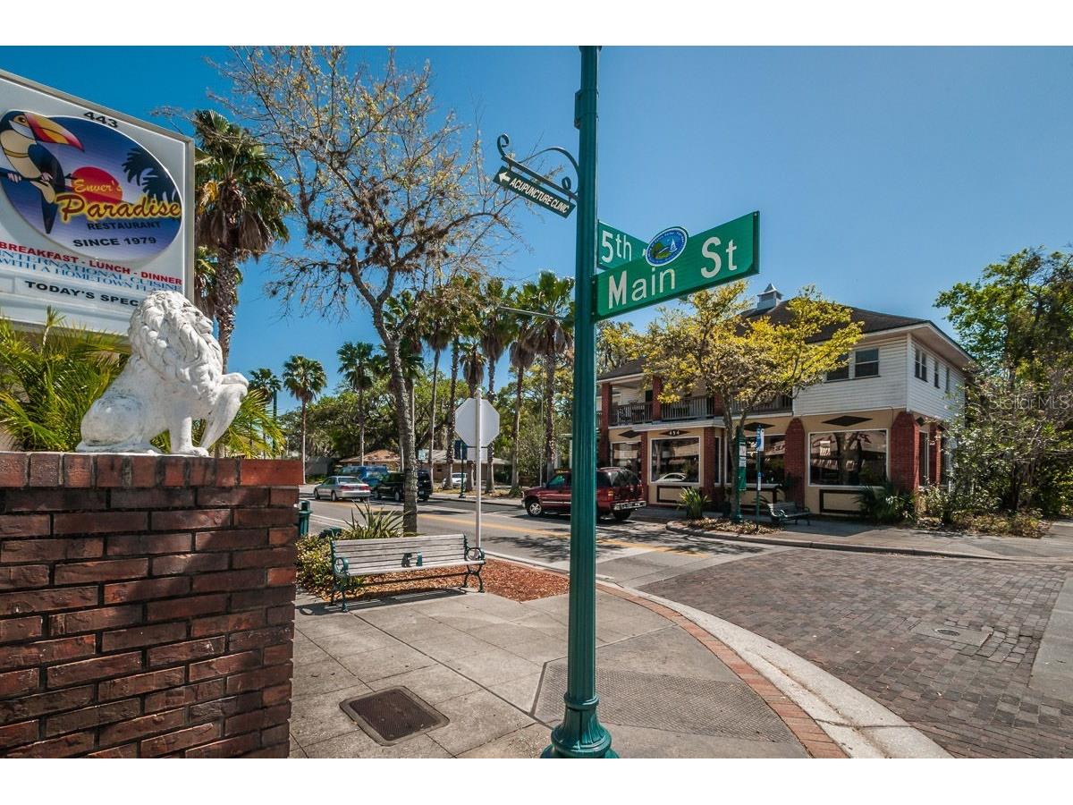 504 Belmont Street Safety Harbor FL 34695 TB8485164 image43