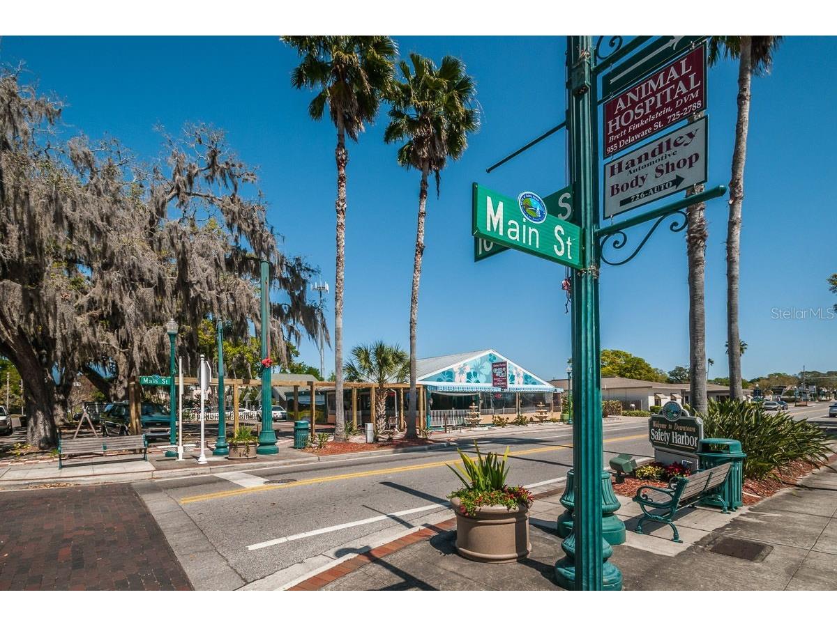 504 Belmont Street Safety Harbor FL 34695 TB8485164 image44