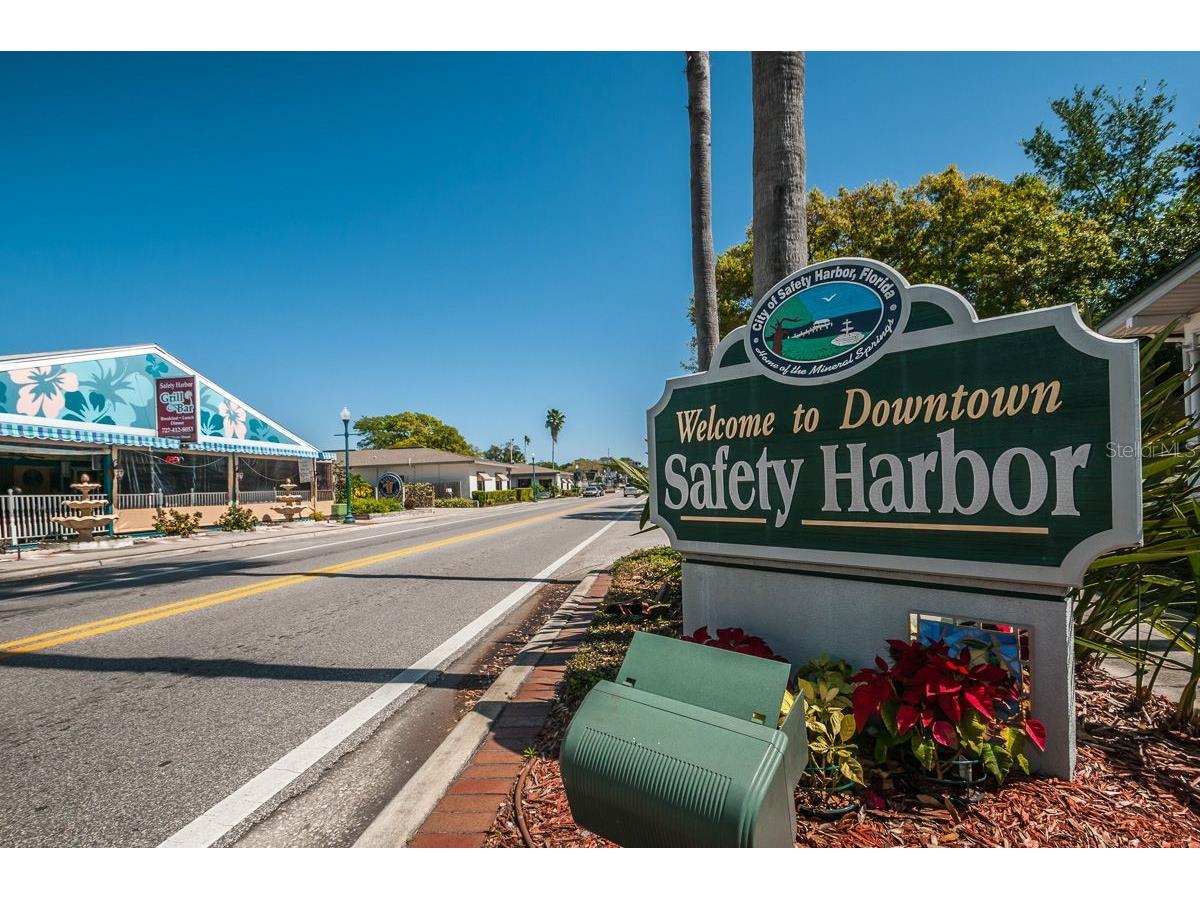 504 Belmont Street Safety Harbor FL 34695 TB8485164 image46