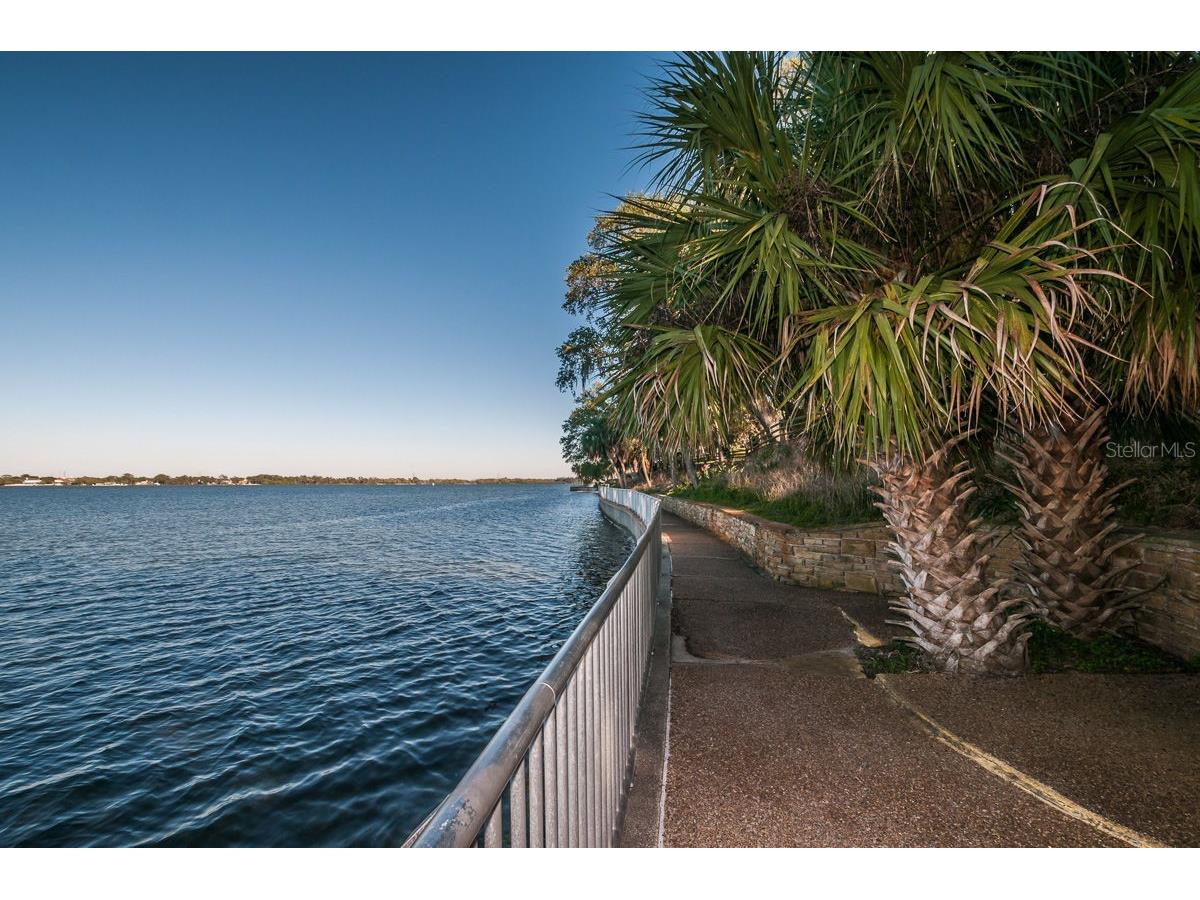 504 Belmont Street Safety Harbor FL 34695 TB8485164 image57