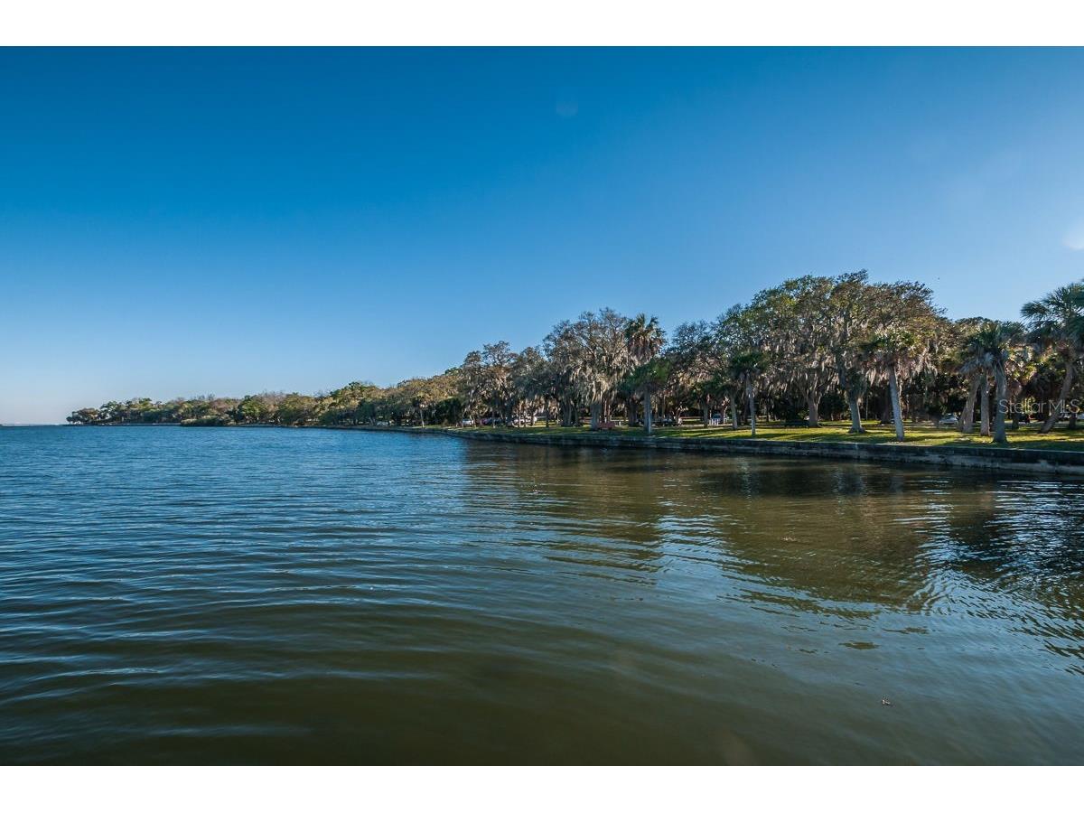 504 Belmont Street Safety Harbor FL 34695 TB8485164 image60