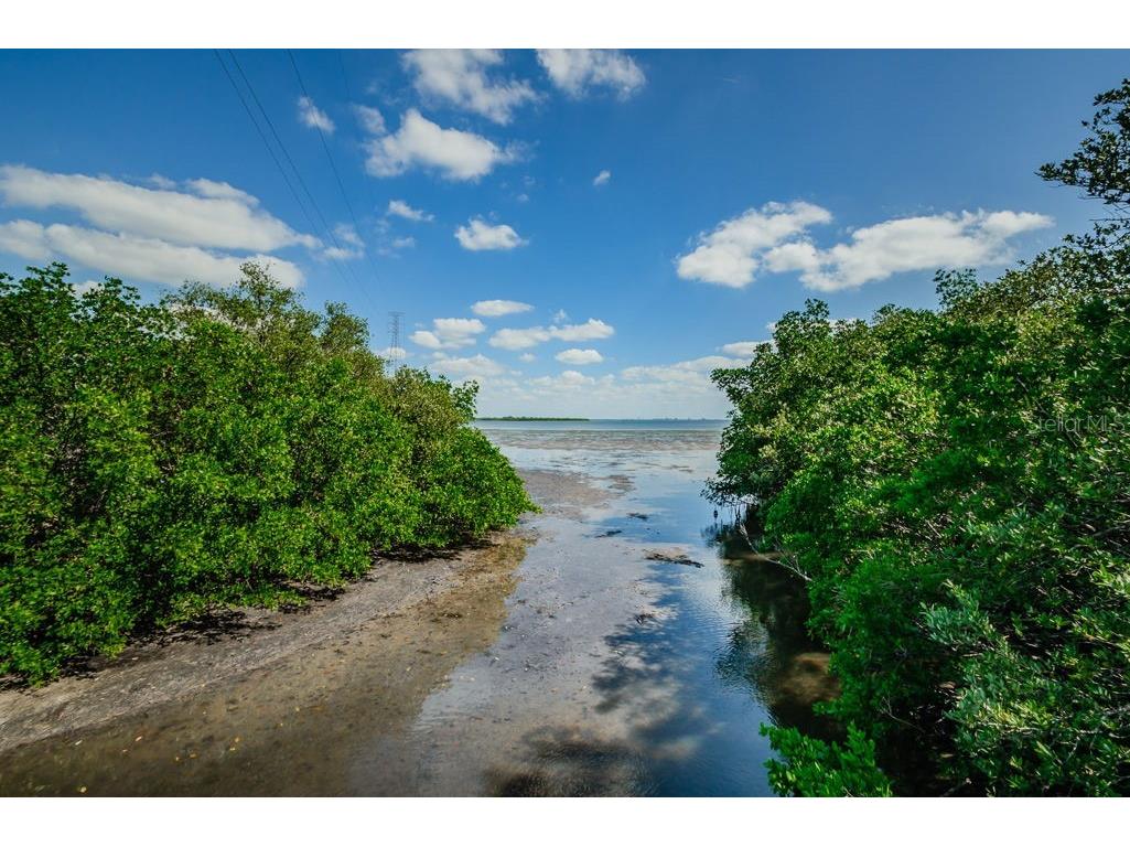 504 Belmont Street Safety Harbor FL 34695 TB8485164 image65
