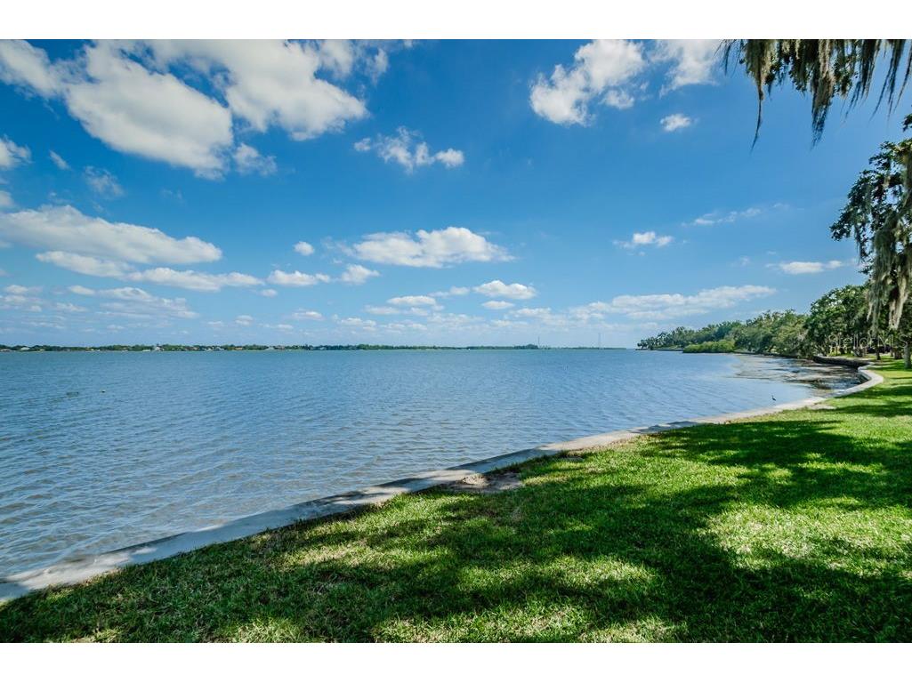 504 Belmont Street Safety Harbor FL 34695 TB8485164 image66