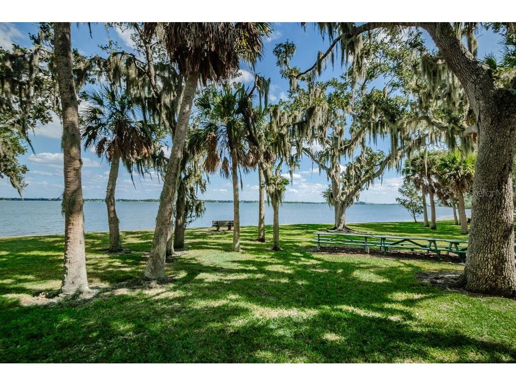 504 Belmont Street Safety Harbor FL 34695 TB8485164 image67