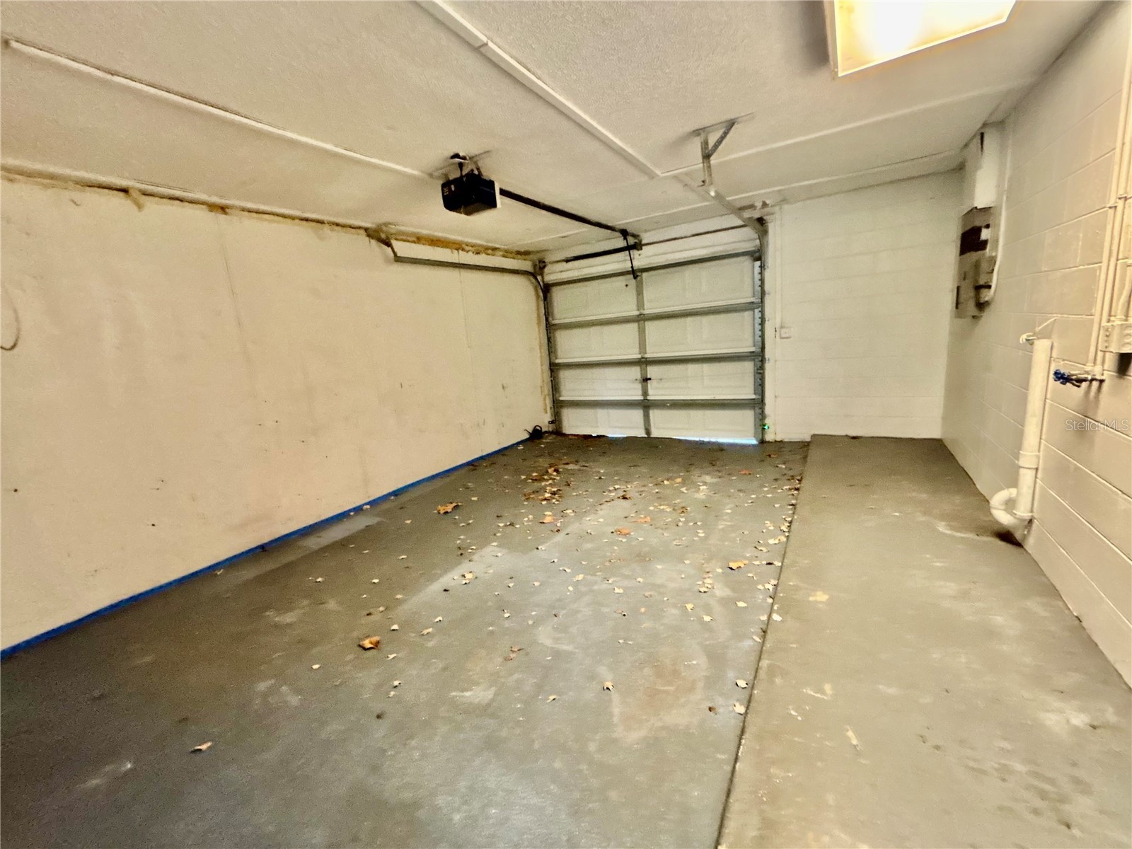 504 Blackbird Lane Poinciana FL 34759 TB8499576 image22