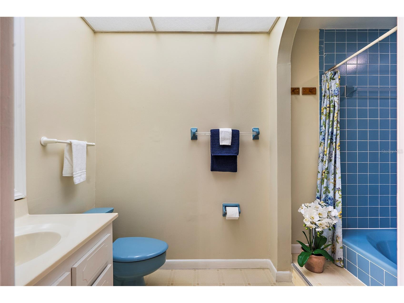 504 Cordova Green Seminole FL 33777 TB8519194 image37