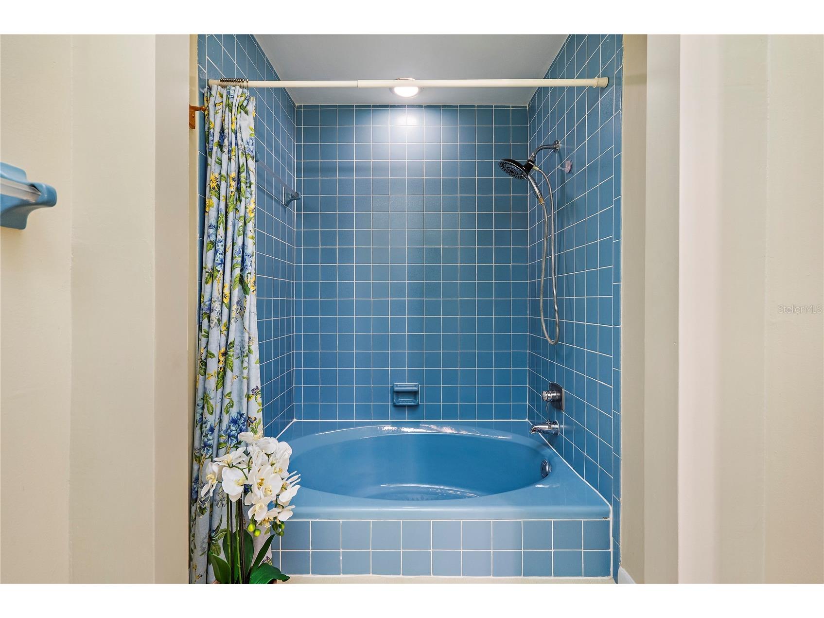 504 Cordova Green Seminole FL 33777 TB8519194 image39