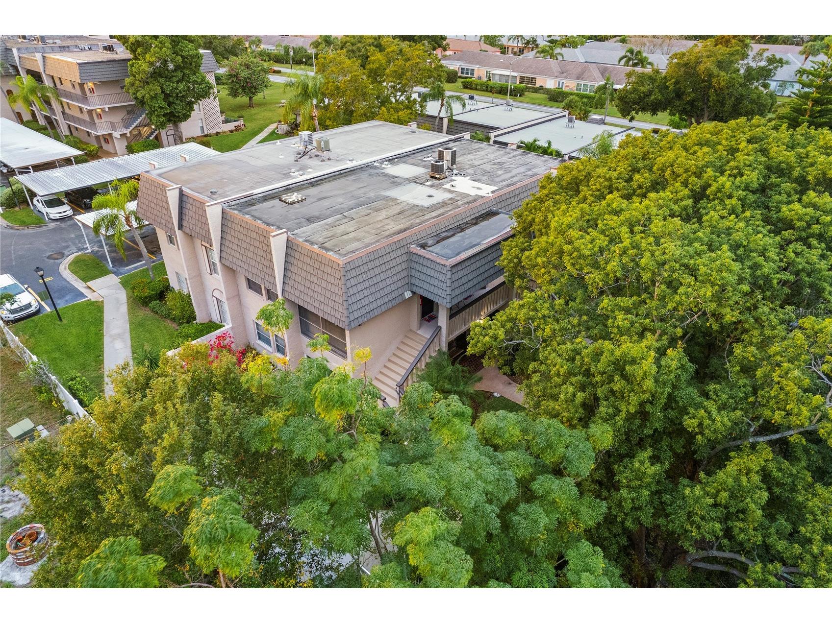 504 Cordova Green Seminole FL 33777 TB8519194 image50