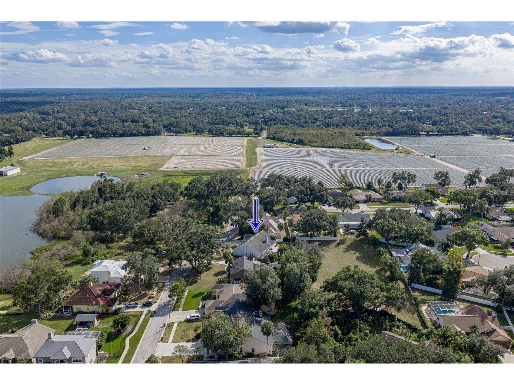 504 Covington Park Street Seffner FL 33584 TB8442434 image100