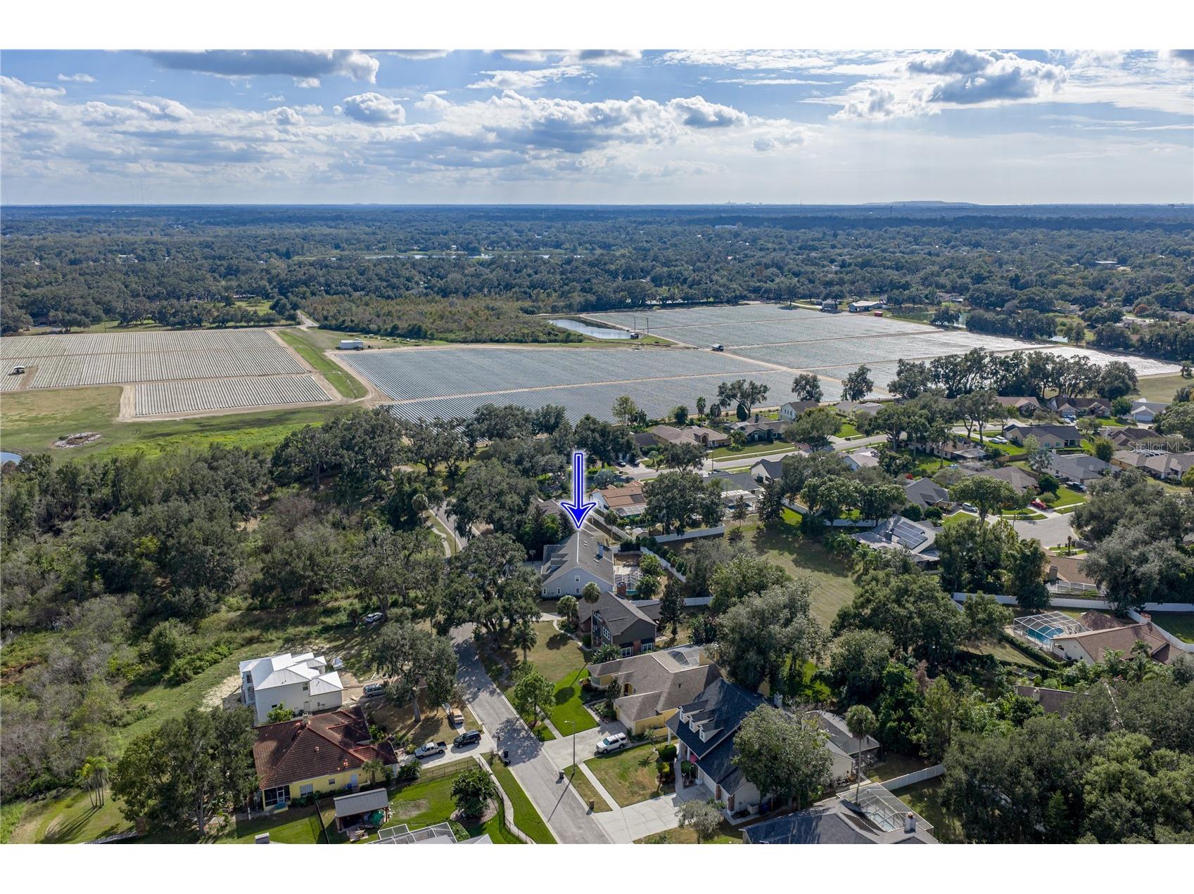 504 Covington Park Street Seffner FL 33584 TB8442434 image99