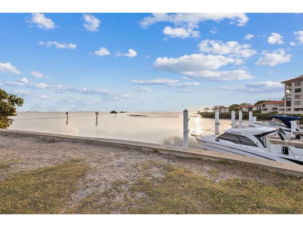 504 Driftwood Drive E Palm Harbor FL 34683 TB8442180 image14