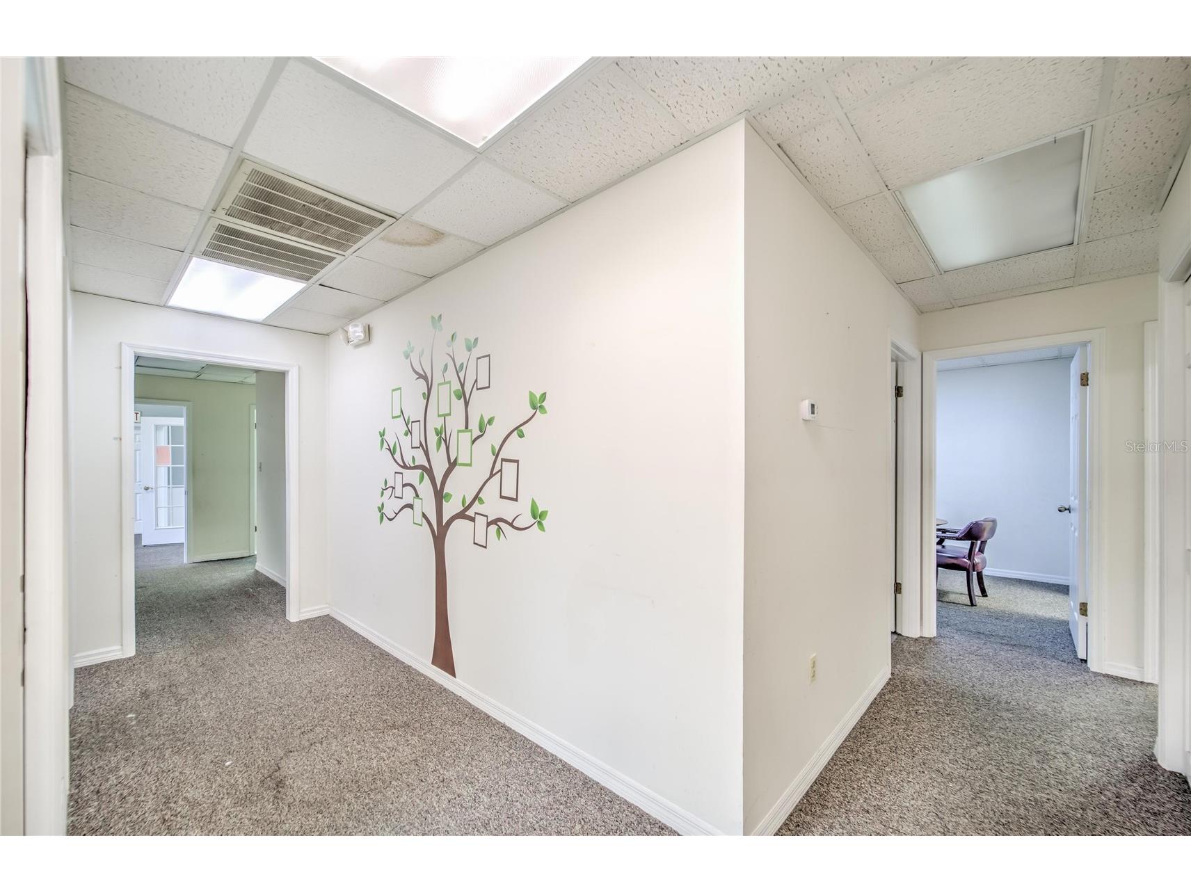 504 E Baker Street Plant City FL 33563 TB8486385 image63