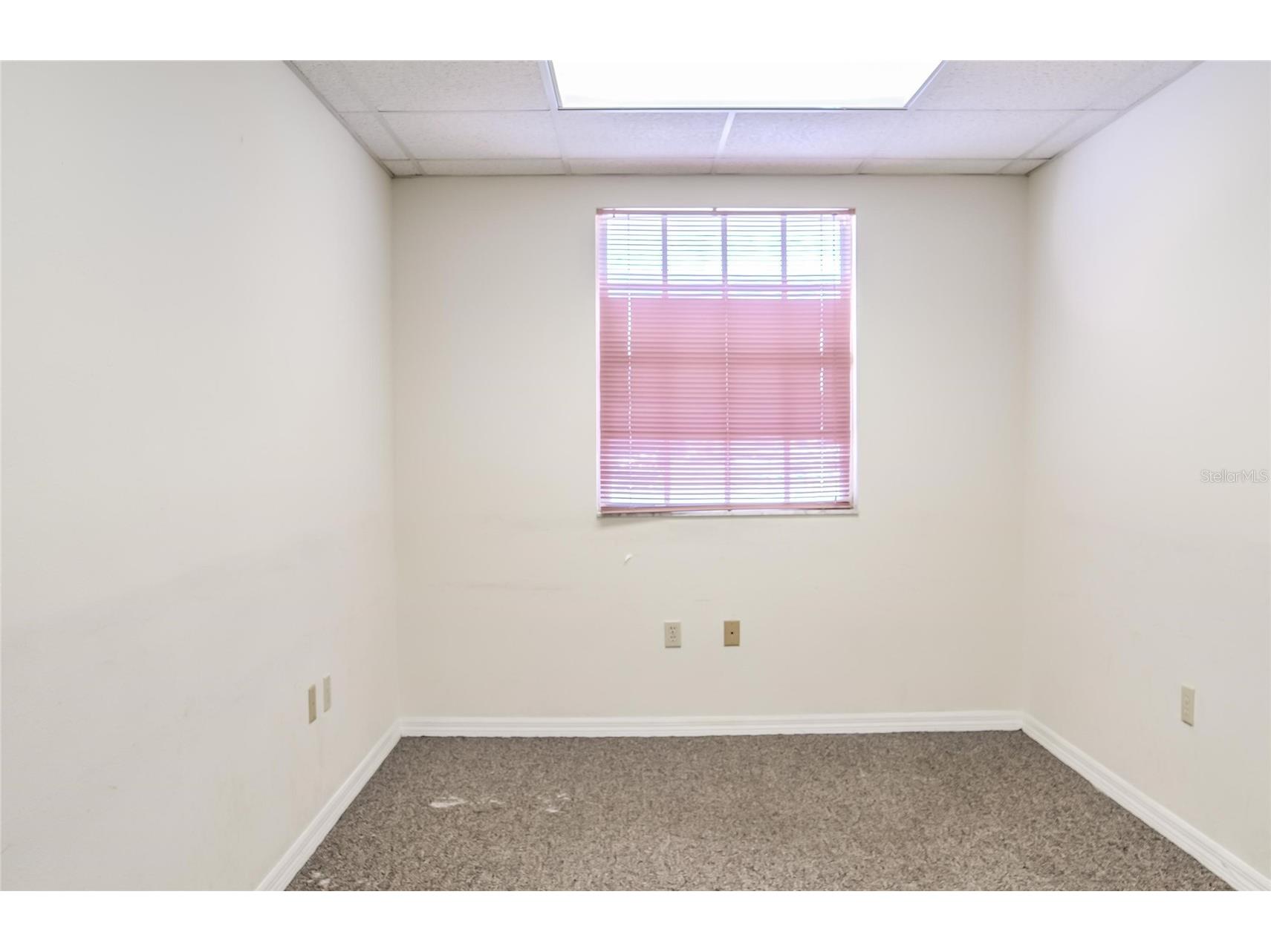 504 E Baker Street Plant City FL 33563 TB8486385 image92
