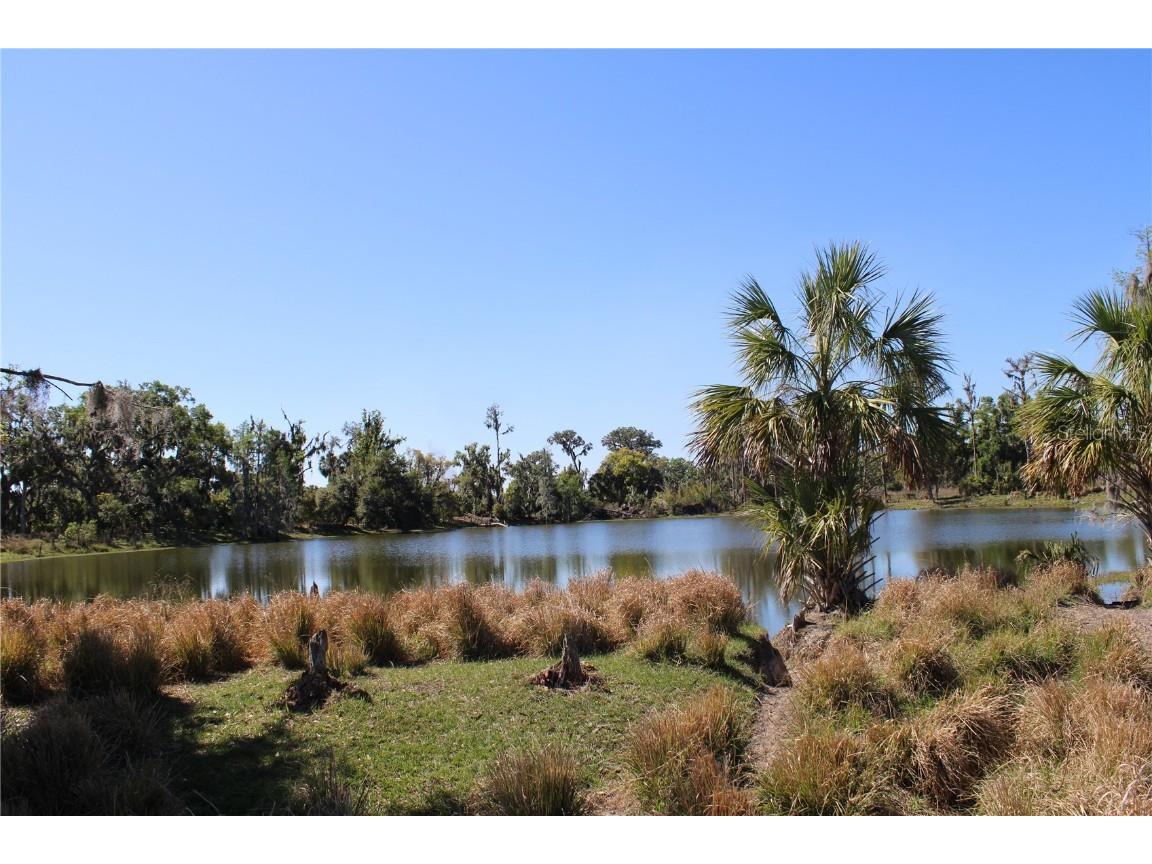 504 E Tipton Road Plant City FL 33567 O6302549 image1