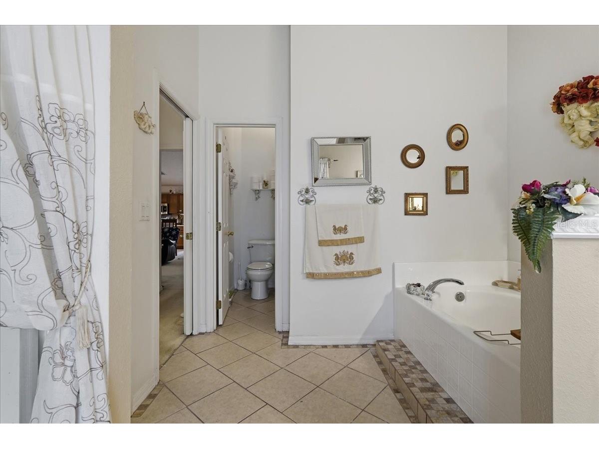 504 Jessamine Dr Davenport FL 33837 P4938958 image18