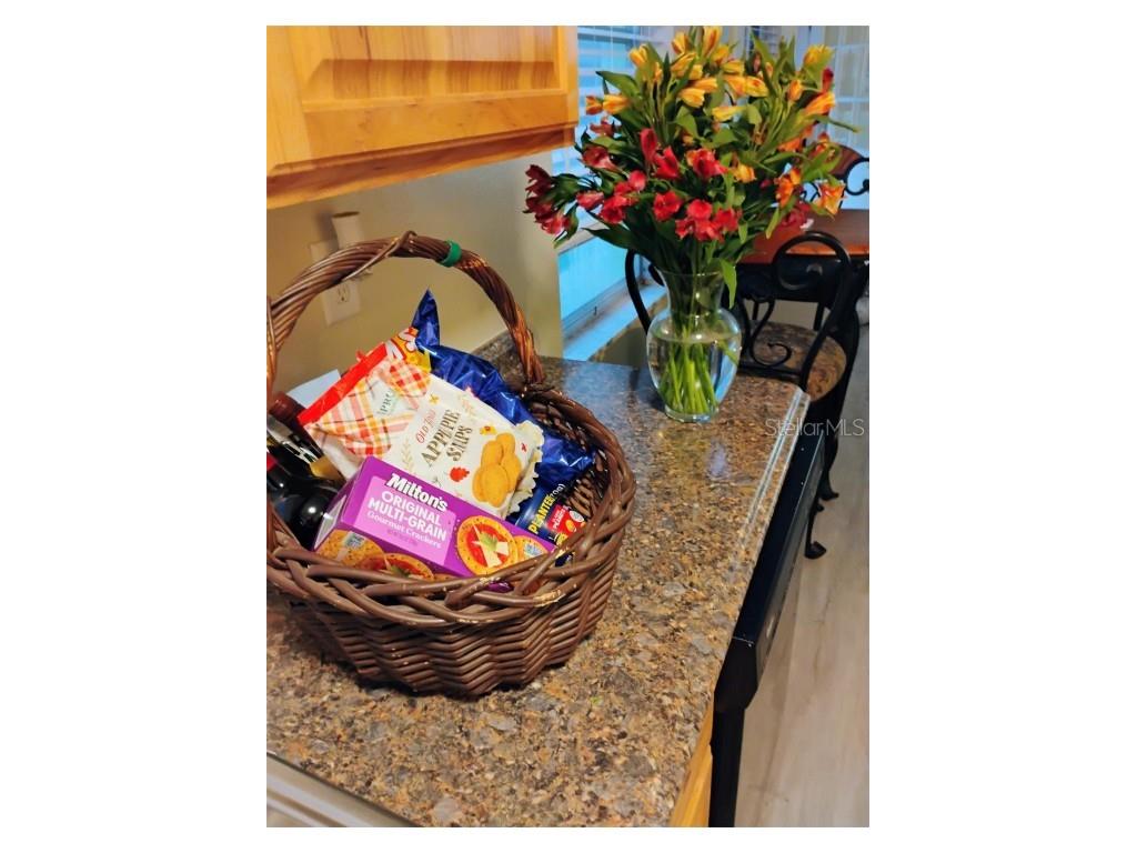 504 Milwaukee Avenue #A Dunedin FL 34698 TB8372144 image4