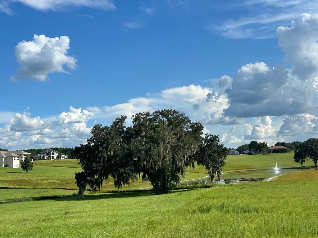 504 N Lake Shenandoah Loop Inverness FL 34453 A4642861 image1