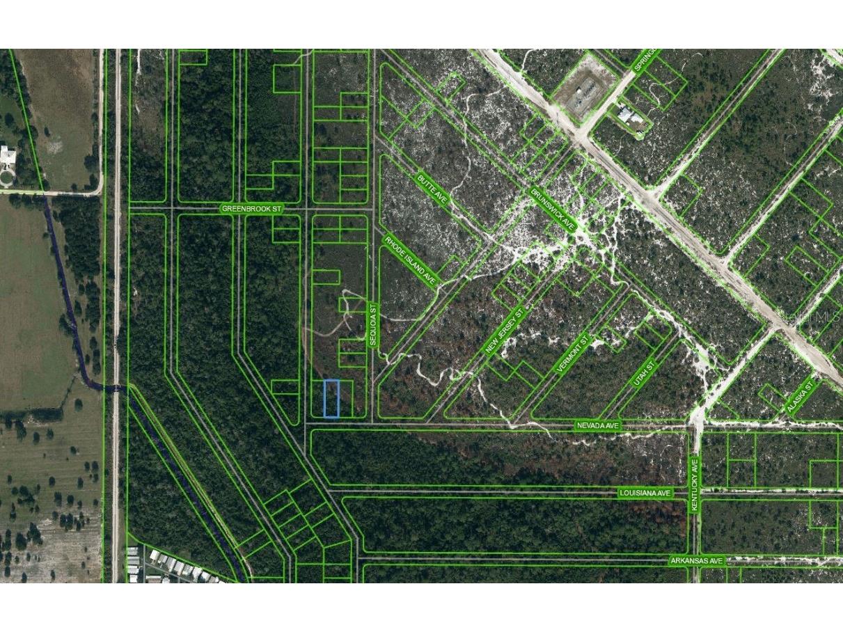 504 Nevada Avenue Lake Placid FL 33852 OM625687 image1