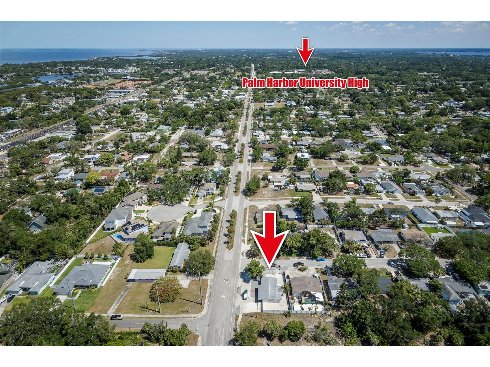 504 Omaha Street Palm Harbor FL 34683 TB8504049 image4