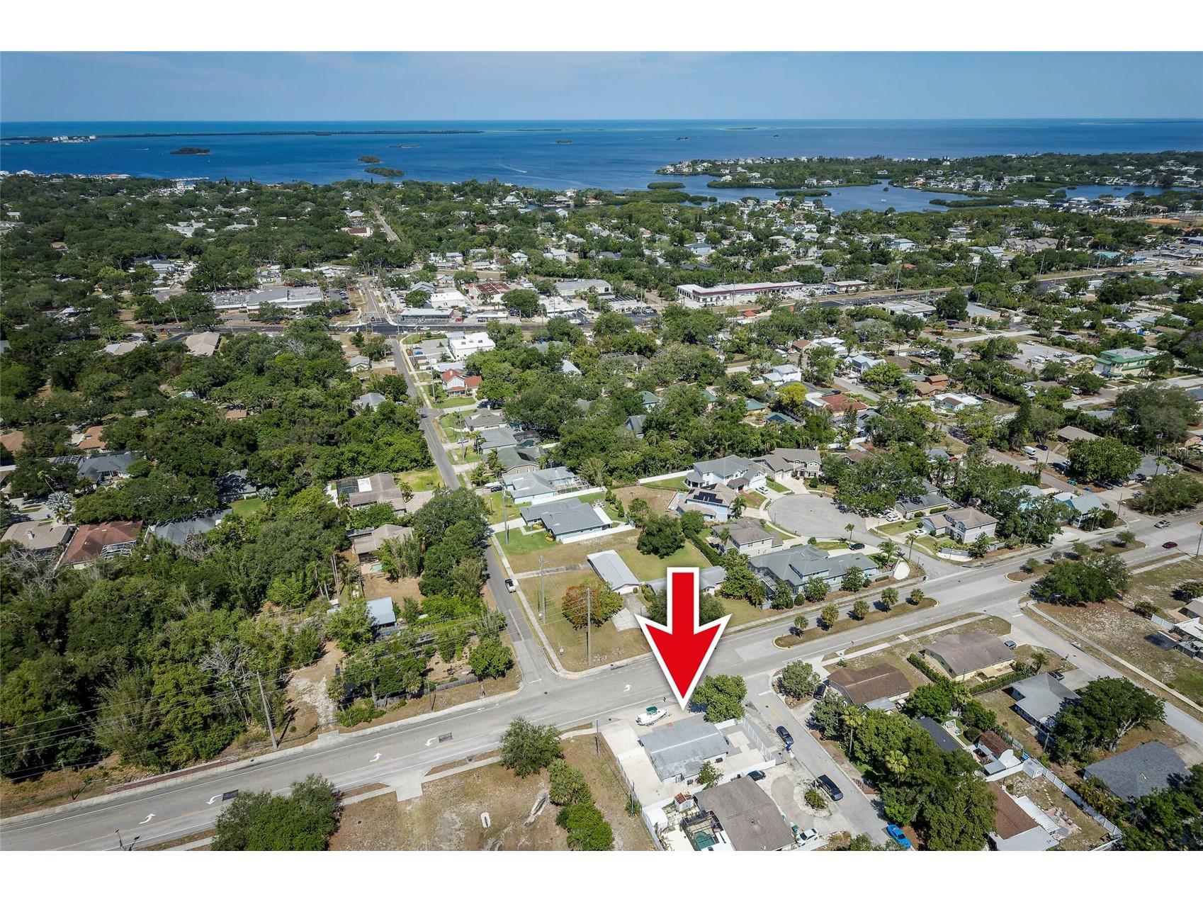 504 Omaha Street Palm Harbor FL 34683 TB8504049 image5