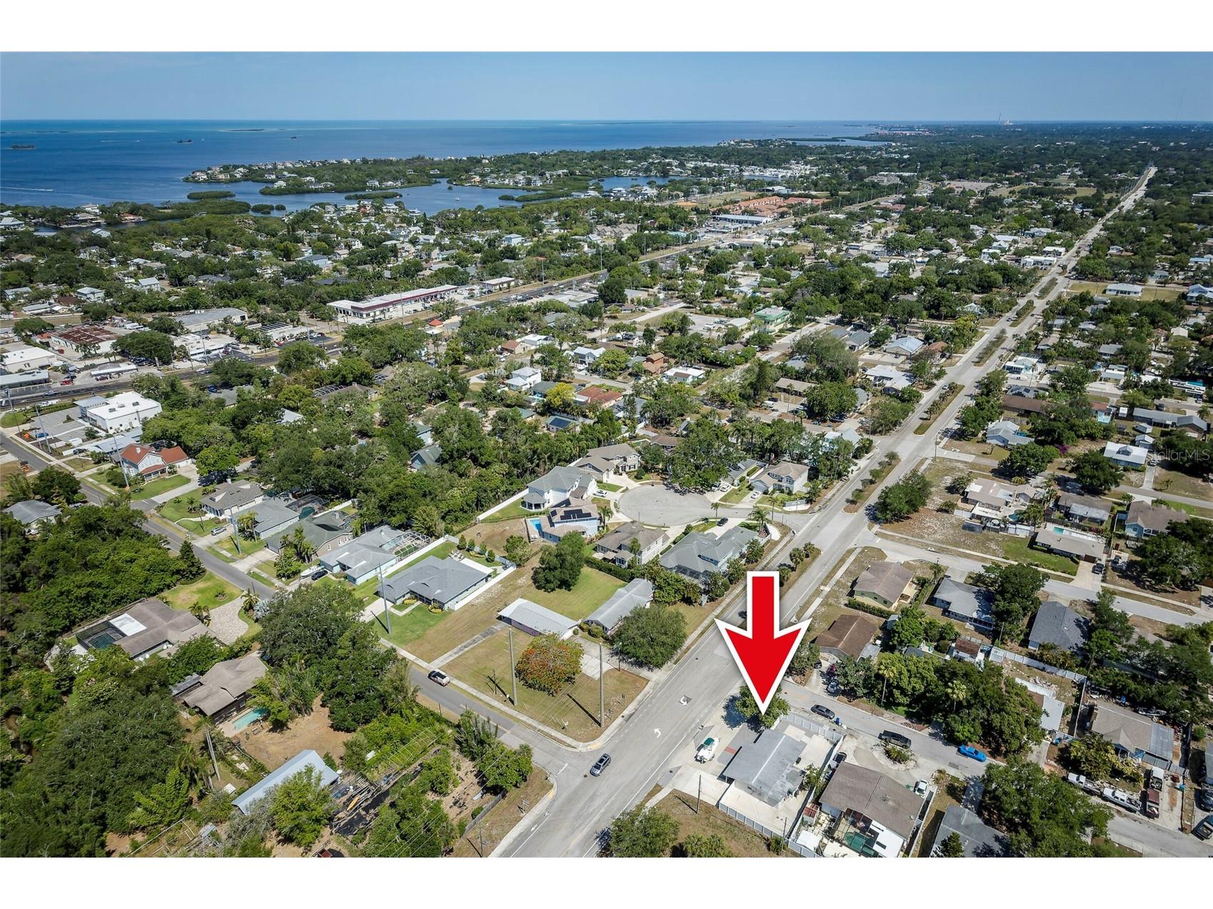 504 Omaha Street Palm Harbor FL 34683 TB8504049 image6