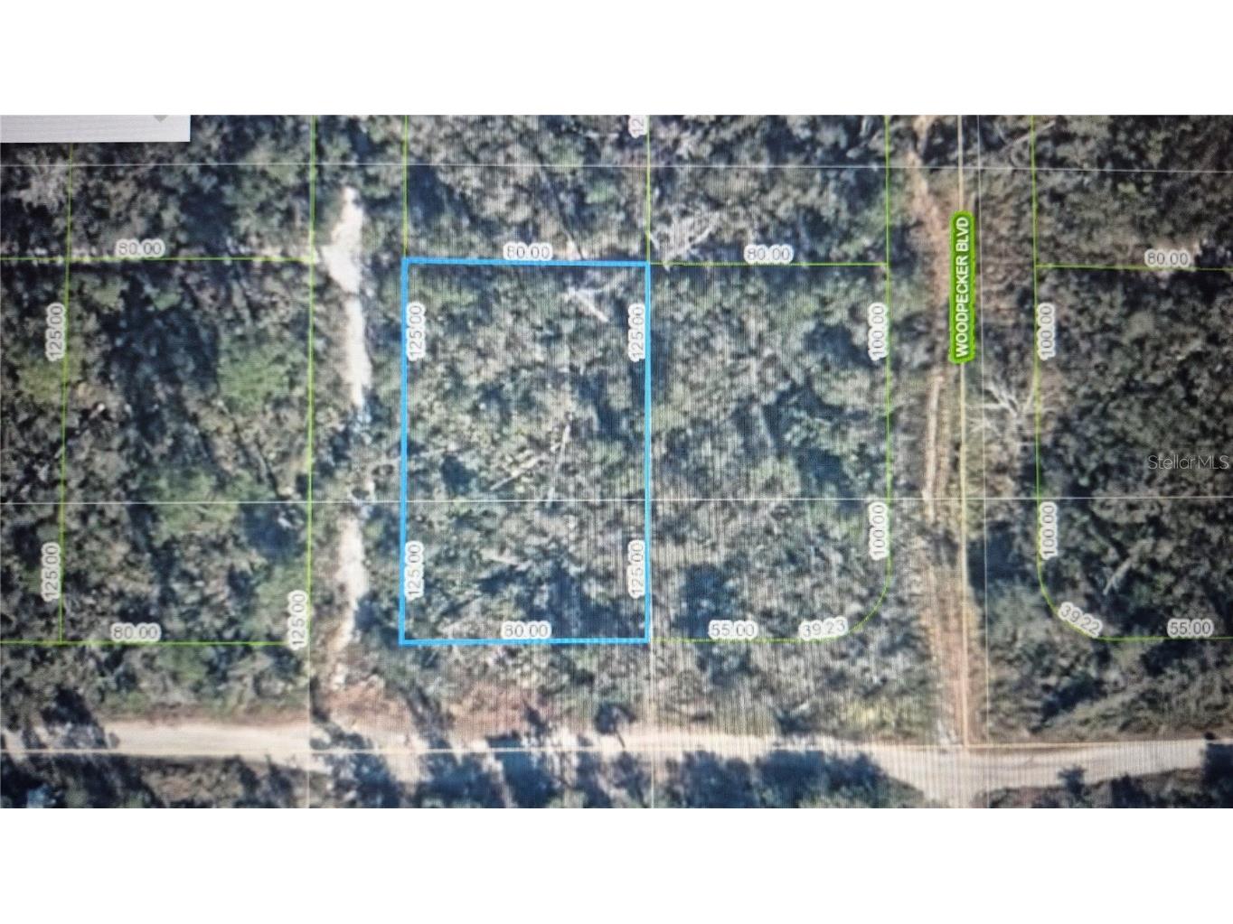 504 Quail Avenue Sebring FL 33870 O6287547 image1
