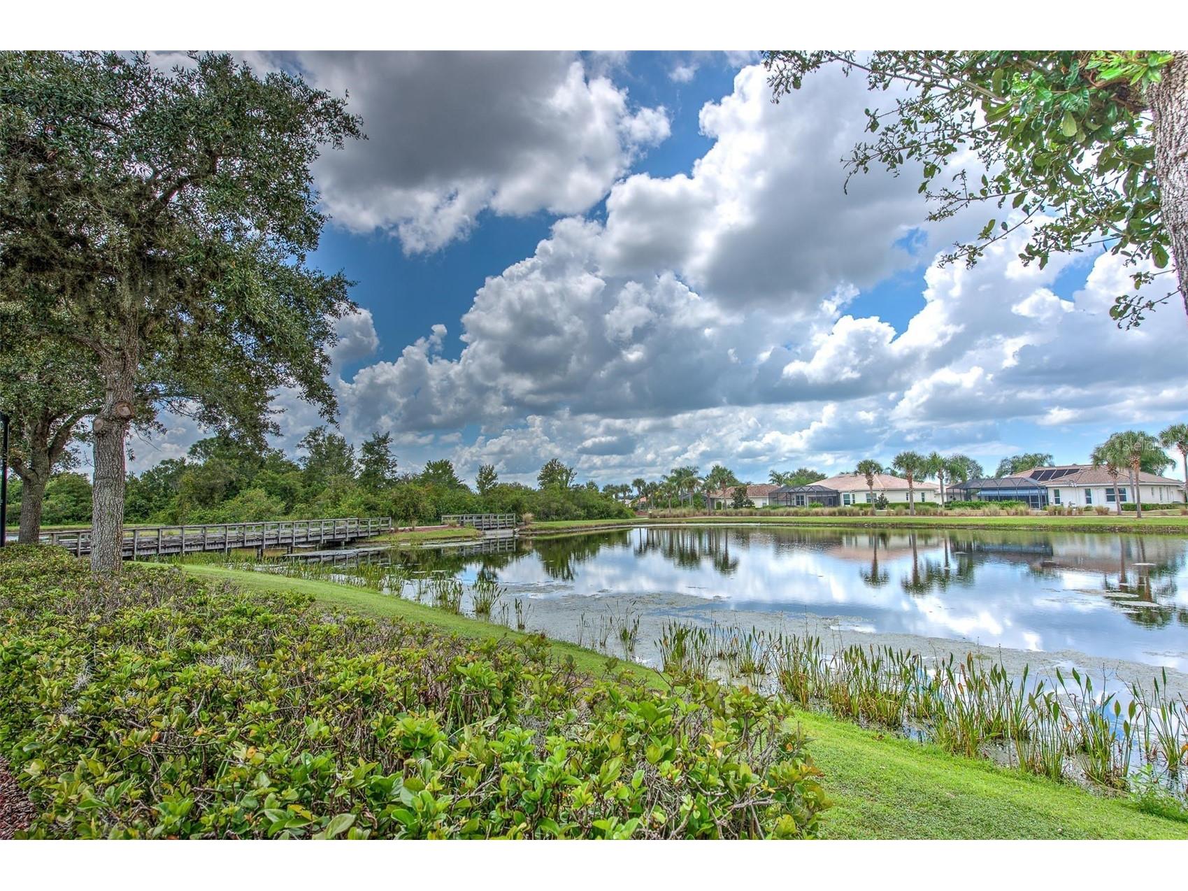 504 Rimini Vista Way Sun City Center FL 33573 TB8503116 image44