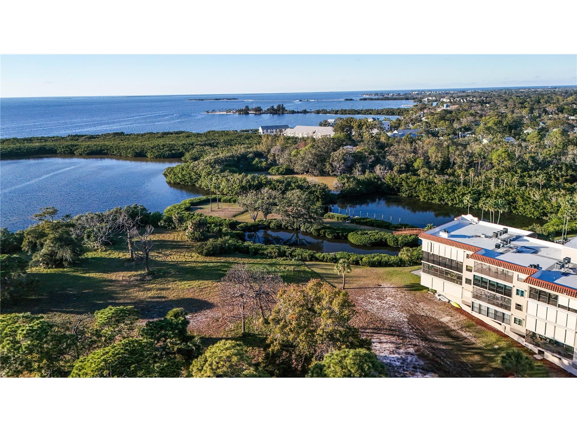 504 S Florida Avenue #221 Tarpon Springs FL 34689 TB8462292 image1