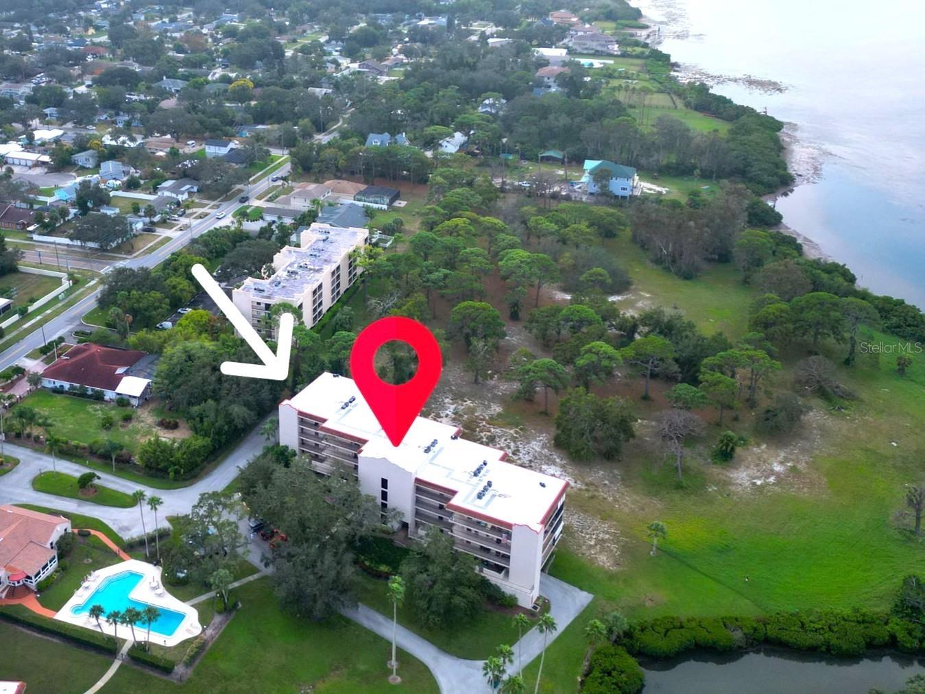 504 S Florida Avenue #235 Tarpon Springs FL 34689 TB8512513 image1