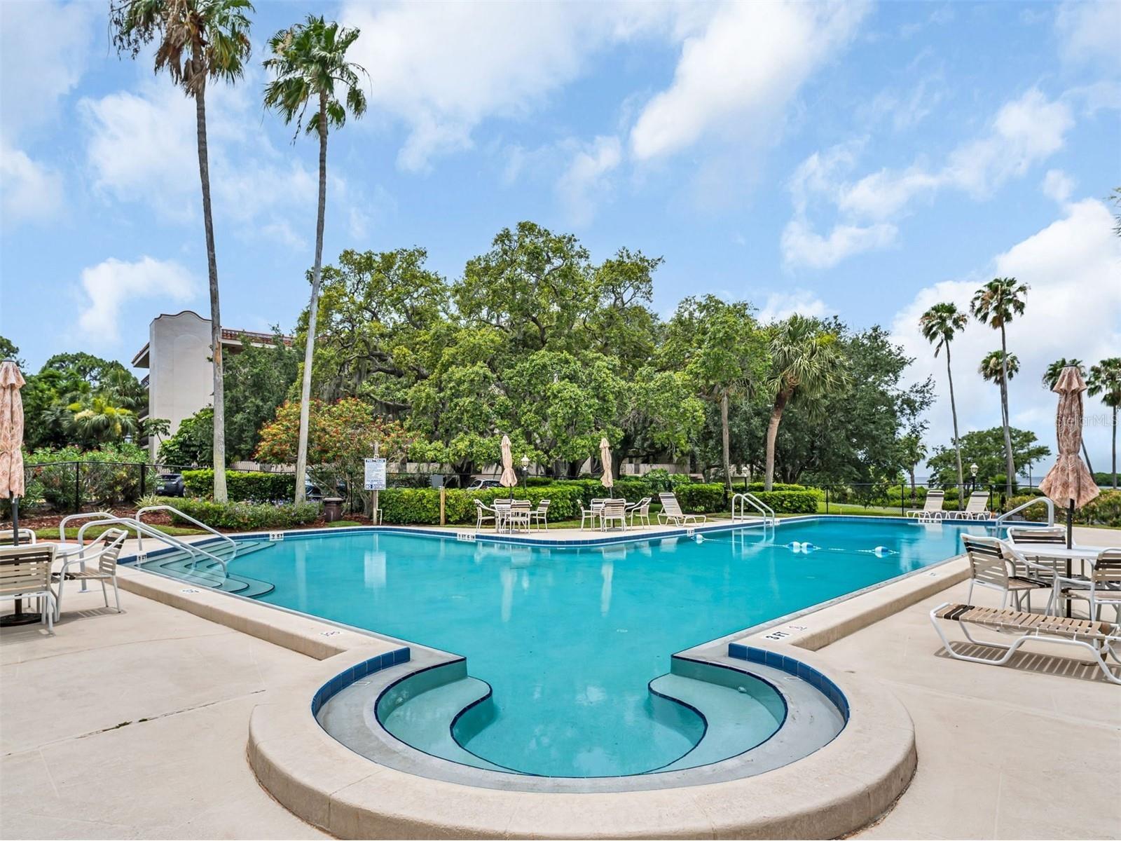 504 S Florida Avenue #235 Tarpon Springs FL 34689 TB8512513 image3