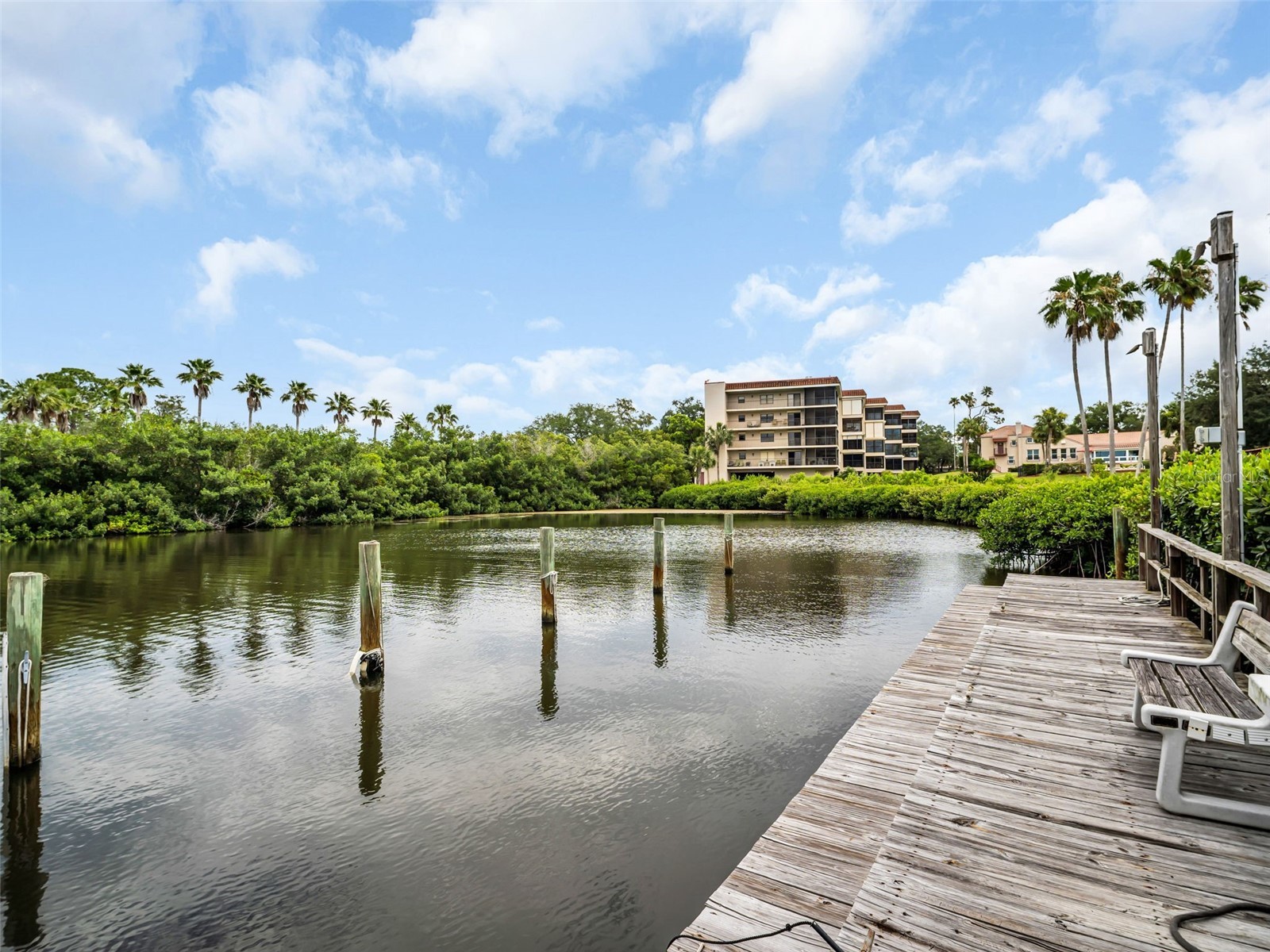 504 S Florida Avenue #235 Tarpon Springs FL 34689 TB8512513 image72