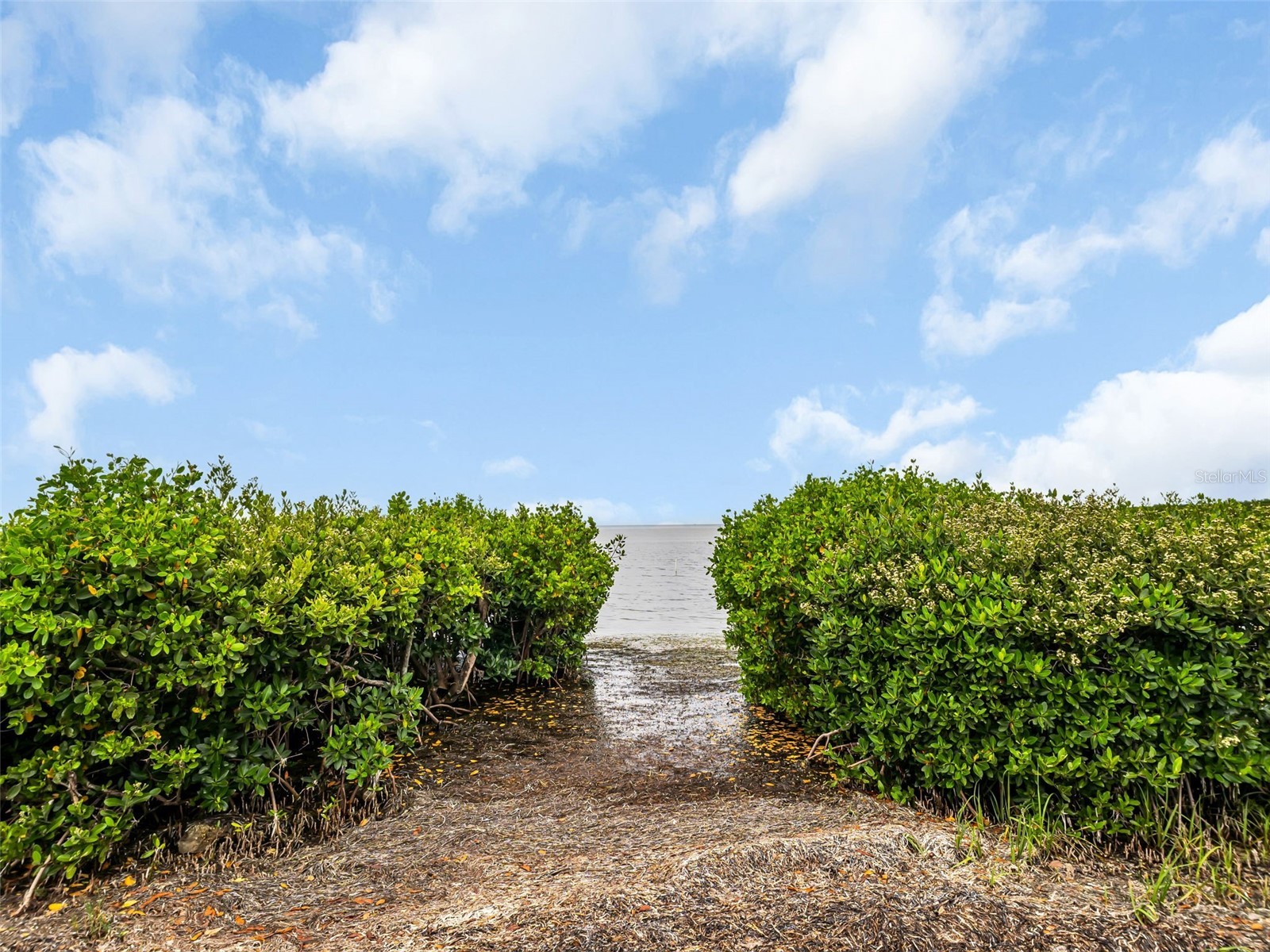 504 S Florida Avenue #235 Tarpon Springs FL 34689 TB8512513 image73
